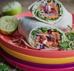 Freestyle Wraps