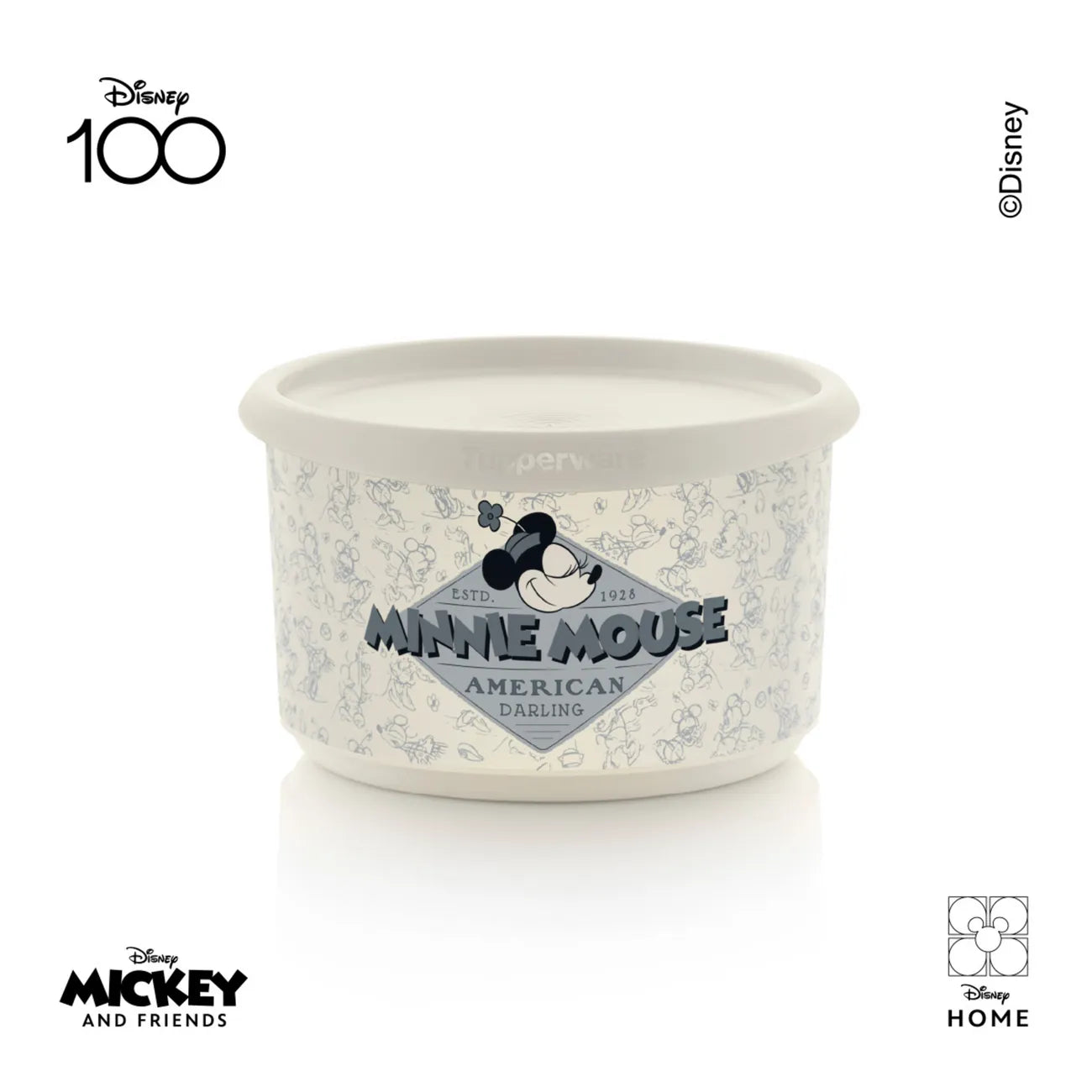 One Touch rund Disney Duo 960ml von der Marke Tupperware / 2 Runde One Touch Behälter im Disney Motiv mit jeweils 960ml Inhalt / Aufbewahrungsdosen / schließen Wasserdicht / Ideal für Kekse und Plätzchen / Keksdosen / Hier direkt online kaufen