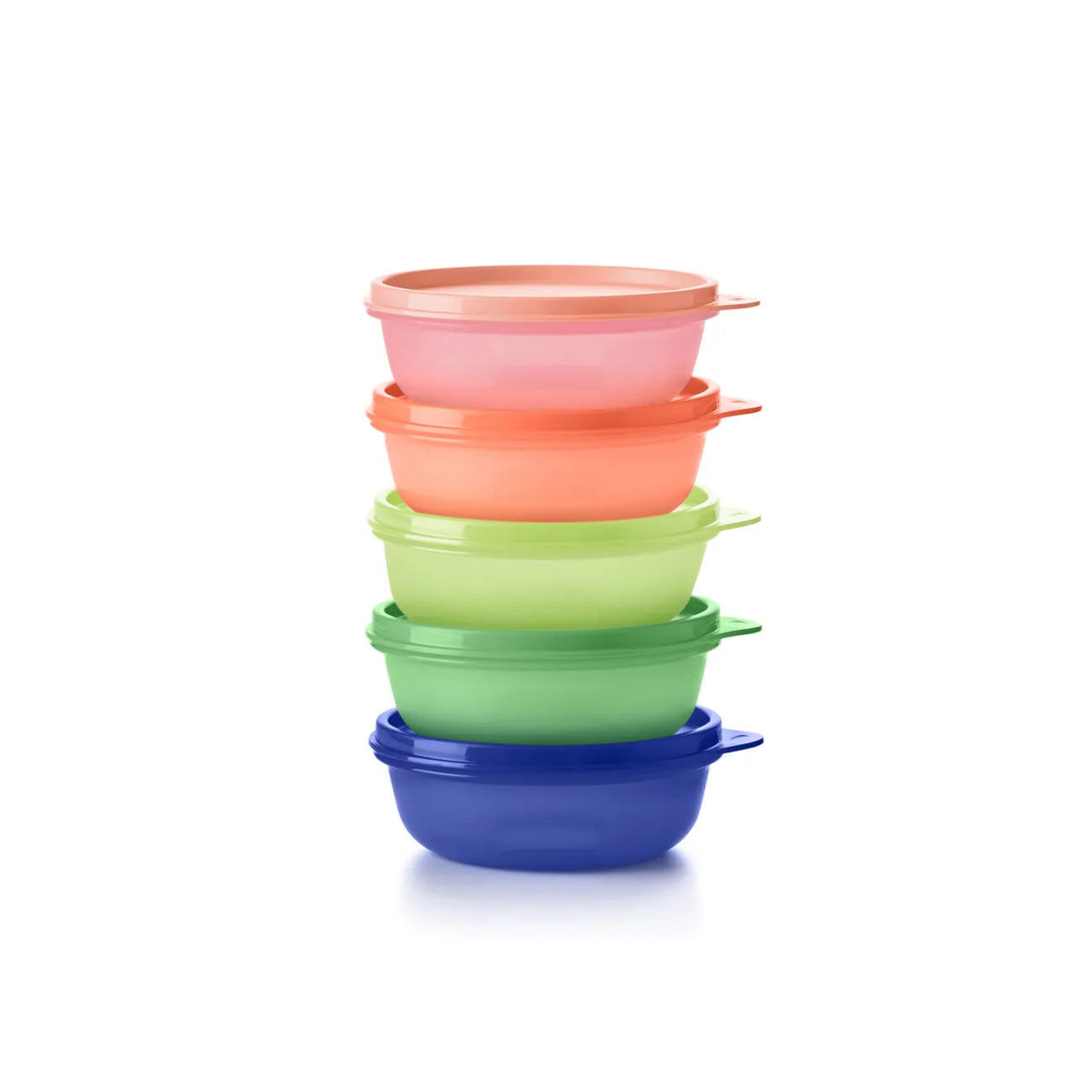 Frische Behälter 300 ml (5) Kleine Hitparade regenbogen – myTupp