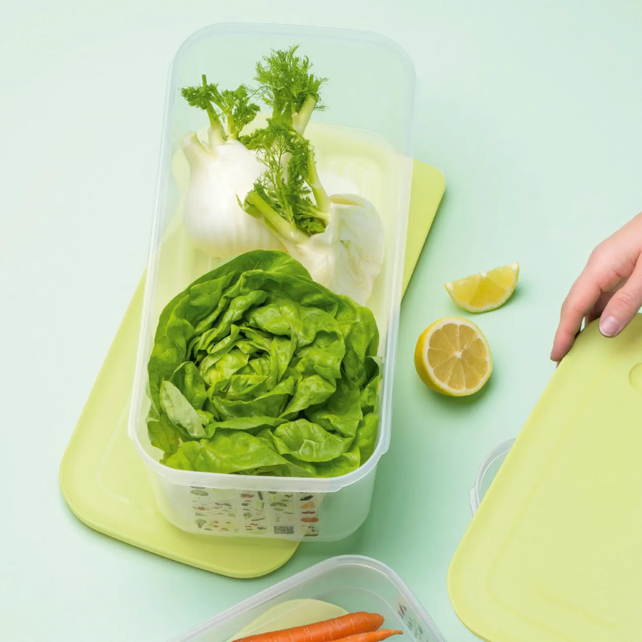 KlimaOase 6,1 L Frischhaltebox von der Marke Tupperware / Nachhaltig und Effizient / Verlängert die Haltbarkeit von Obst und Gemüse / Stapelbar / Einzigartiges System zur Regulierung von Luftmenge und Feuchtigkeit / mit integriertem Frischegitter gegen überschüssige Feuchtigkeit / Hier direkt online kaufen