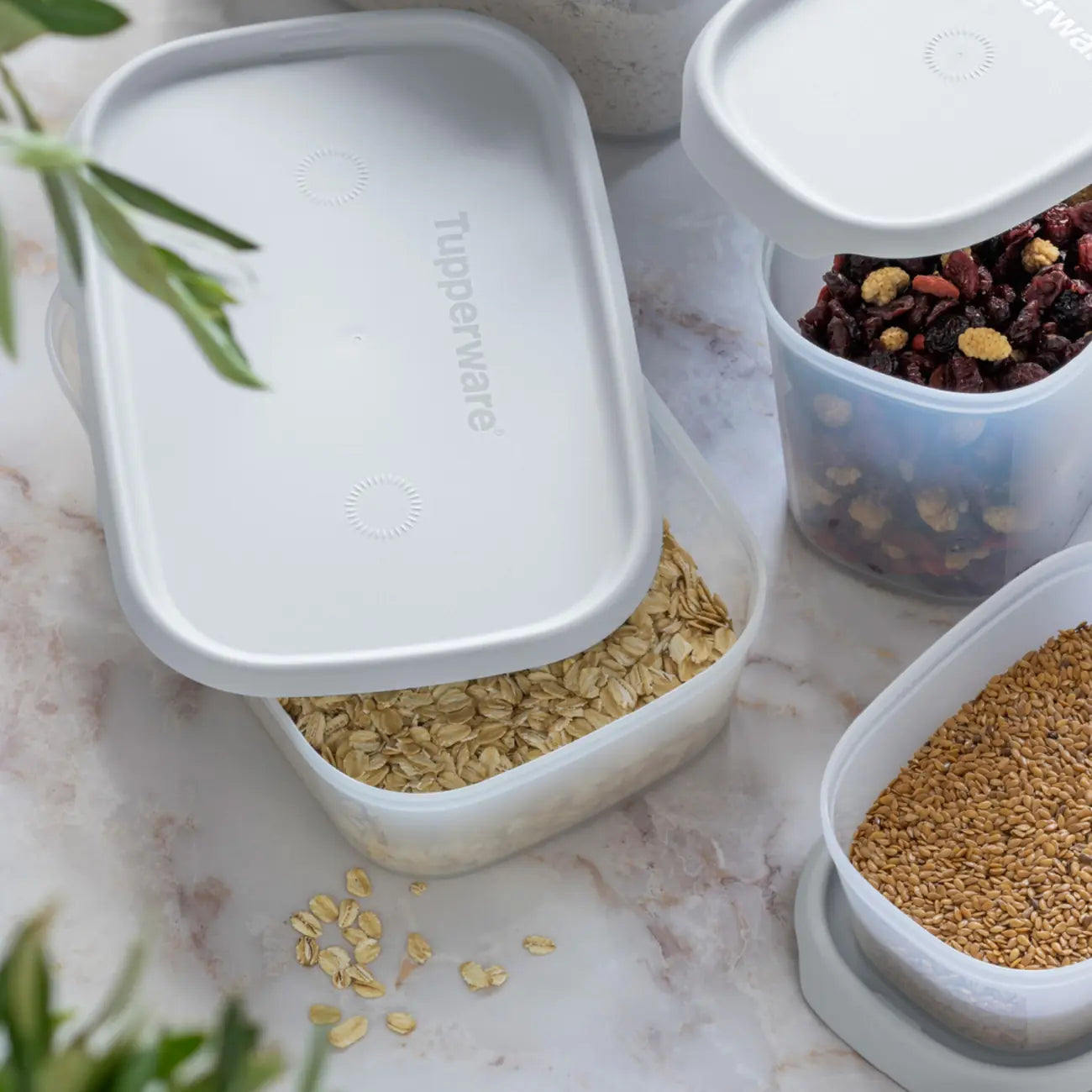 One Touch Fresh rechteckig 1,3 L in Grau von der Marke Tupperware / Vorratsdose / mit Luft-, Wasser- und Aromadichtem Deckel / leicht zu schließen / Ideal zum Lebensmittel Aufbewahren & Frischhalten / mit Praktischer Klarsichtblende / ineinander und aufeinander Stapelbar / Hier direkt online kaufen