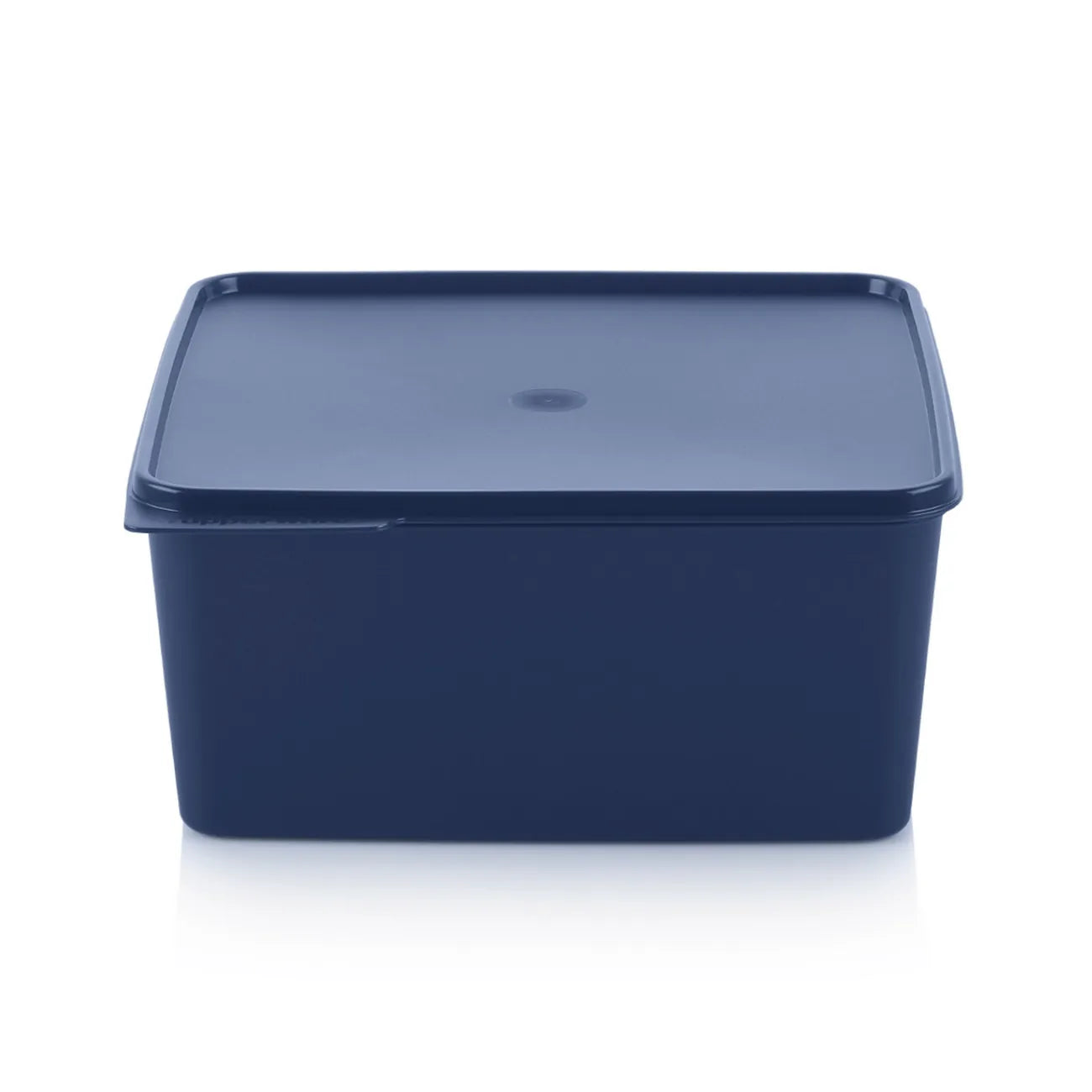 Tupperware Basic Line 5 L – Großer Frischhaltebehälter für Küche & Kühlschrank – myTupp