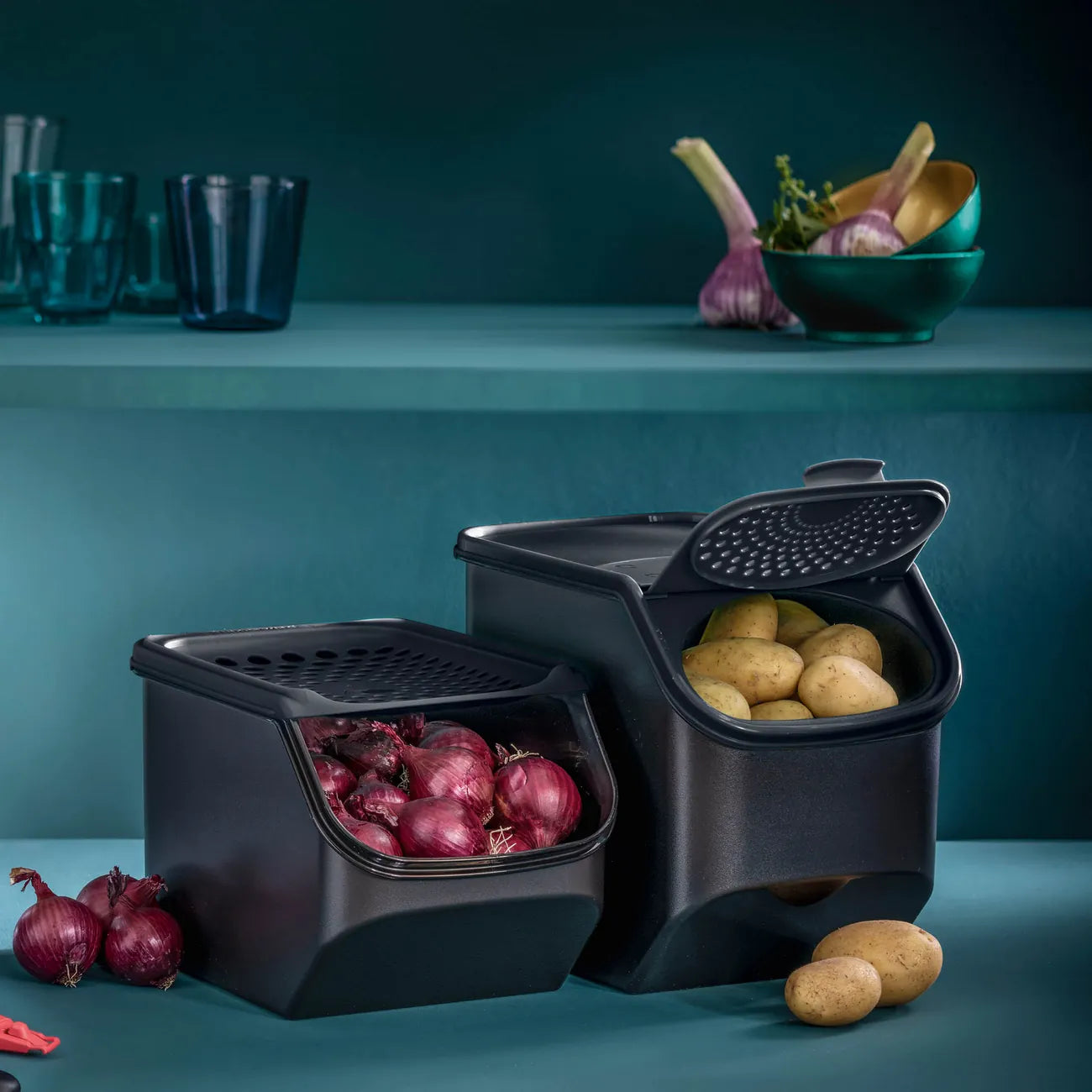 Kartoffel Lager von der Marke Tupperware / in der Farbe Schwarz / Lebensmittel Lager für Kartoffeln / Optimales Klima dank Lüftungslöchern & Keim Verhinderung / Platz für 4,7 Kg / Hier direkt online kaufen