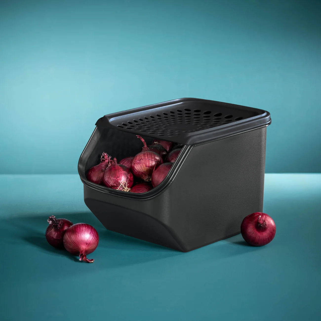 Zwiebel Lager von der Marke Tupperware / in der Farbe Schwarz / Lebensmittel Lager für Knoblauch und Zwiebeln / Optimales Klima dank Lüftungslöchern / Platz für 3,2 Kg / Hier direkt online kaufen