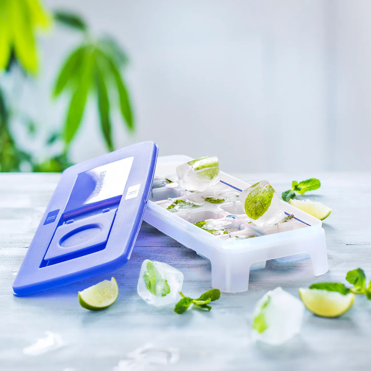 Eis-Kristall Eiswürfler Eiswürfelbehälter von der Marke Tupperware / in der Farbe Blau - Transparent / für große Eiswürfel / 14 Eiswürfel gleichzeitig / mehrere Eiswürfler sind stabil aufeinander Stapelbar / komfortabel zum Füllen / Hier direkt online kaufen