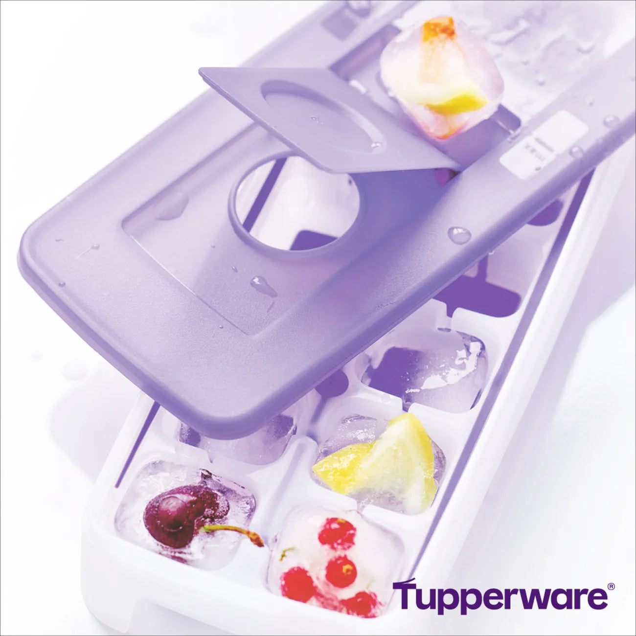 Eis-Kristall Eiswürfler Eiswürfelbehälter von der Marke Tupperware / in der Farbe Flieder - Transparent / für große Eiswürfel / 14 Eiswürfel gleichzeitig / mehrere Eiswürfler sind stabil aufeinander Stapelbar / komfortabel zum Füllen / Hier direkt online kaufen