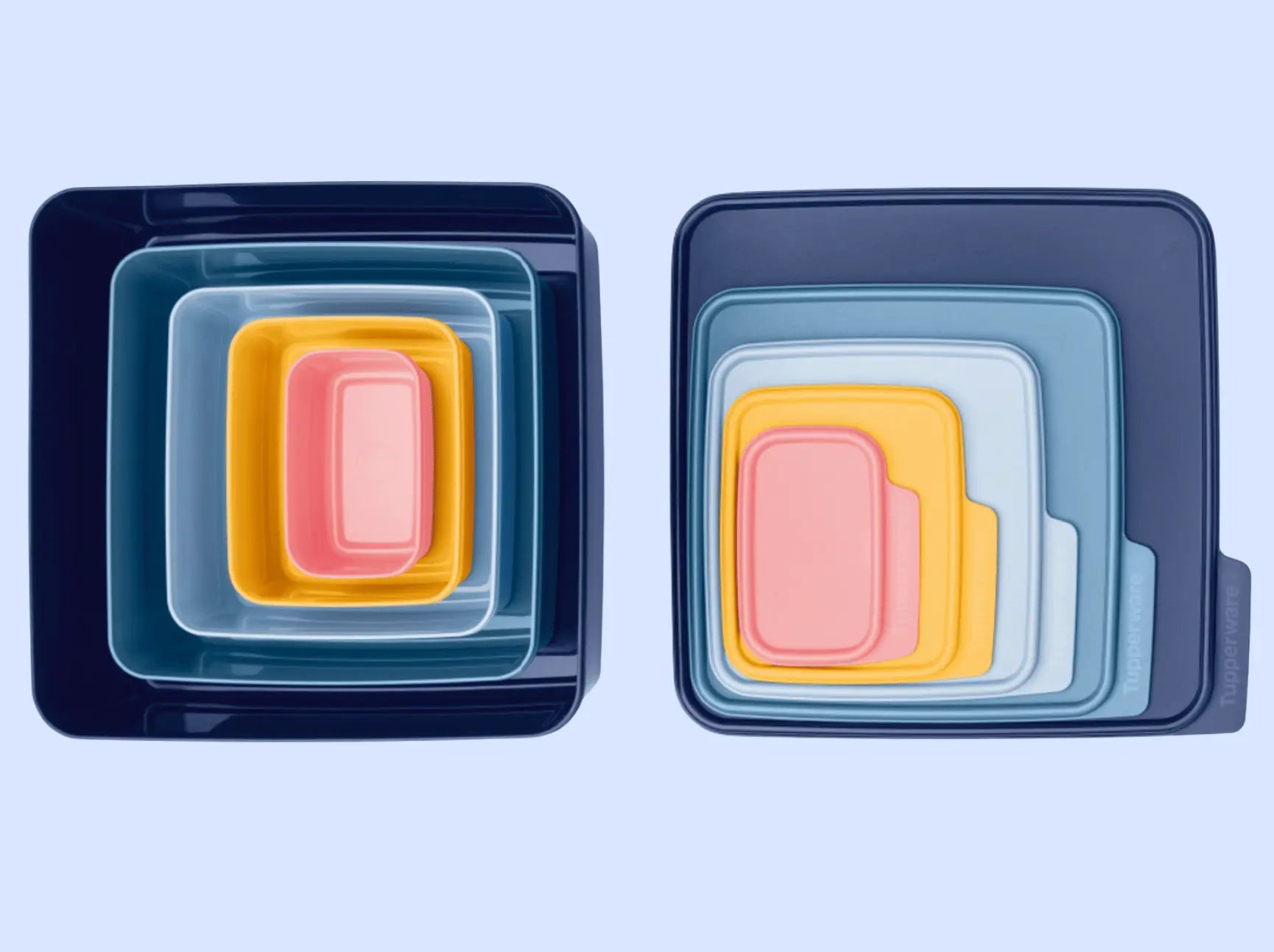 BasicLine Voratsbehälter von der Marke Tupperware / Vorrats- und Aufbewahrungsbehälter / mit Praktischer Lasche zum Öffnen / Hier direkt online kaufen