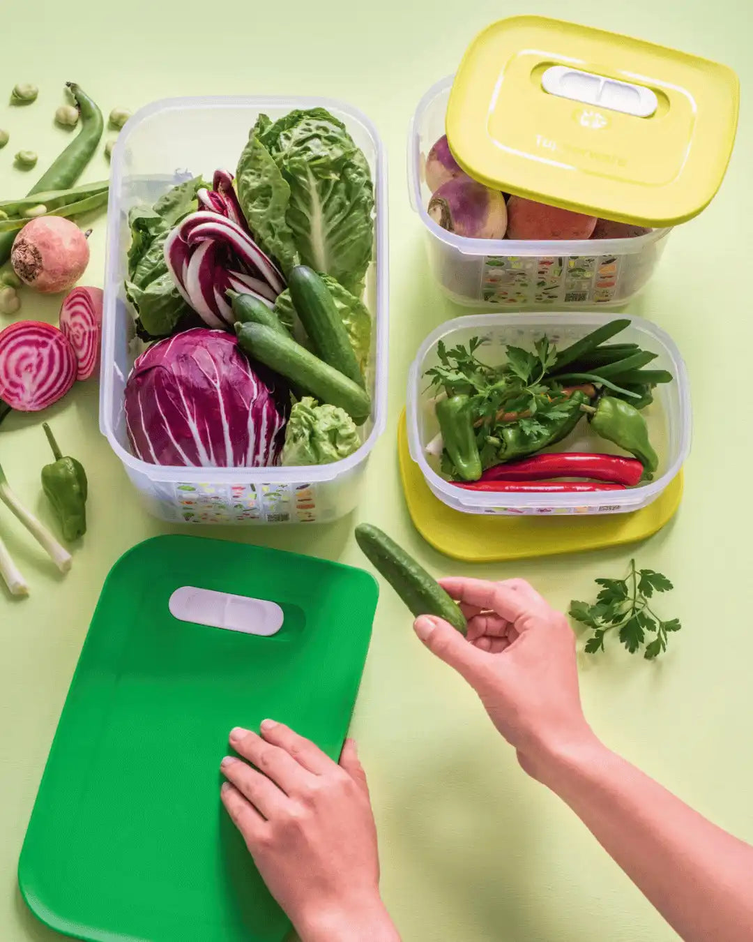 Klimaregler für die Optimale Frische