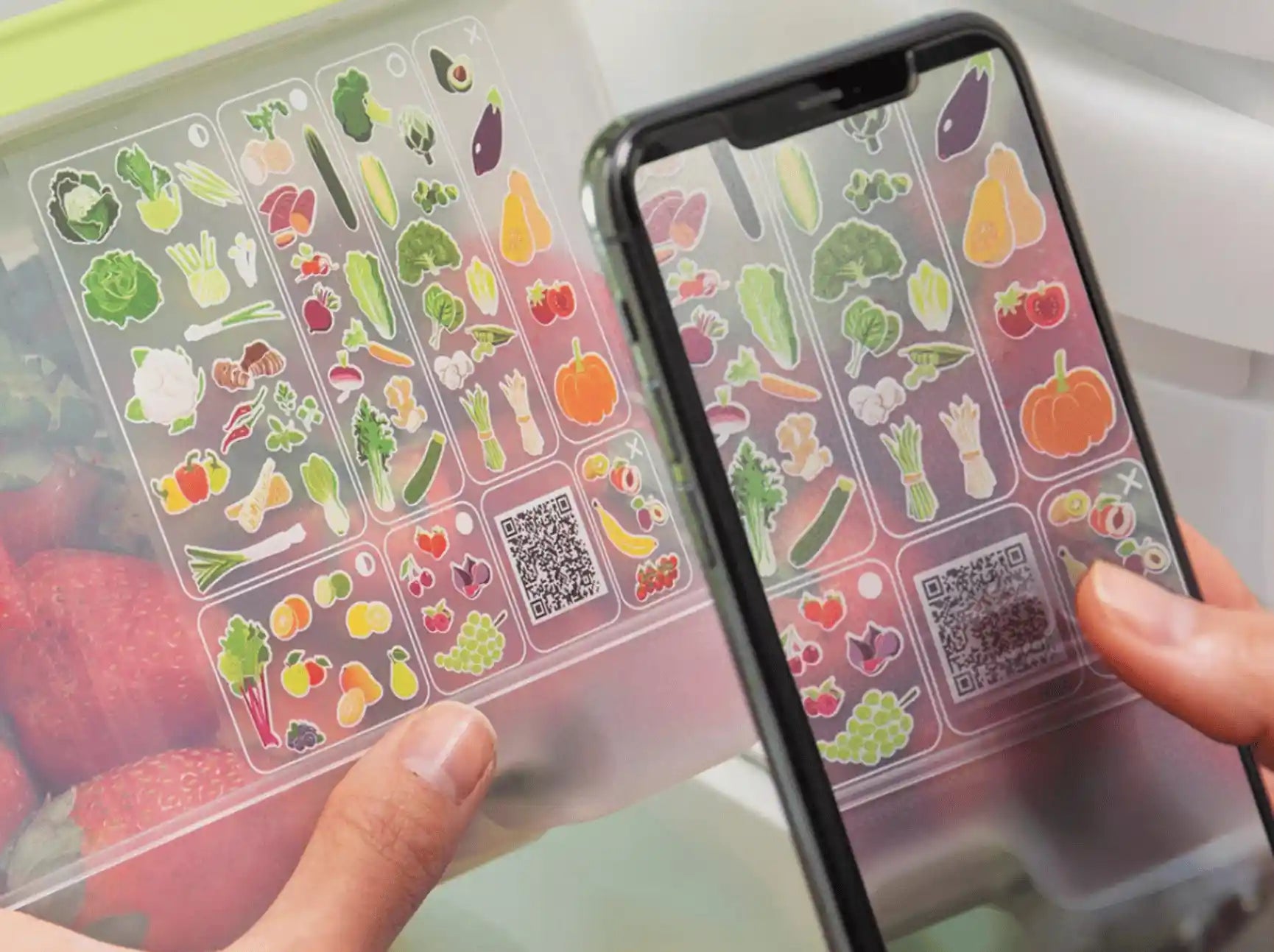 KlimaOasen von der Marke Tupperware / Gemüse und Obst Aufbewahrung / Hier direkt online kaufen