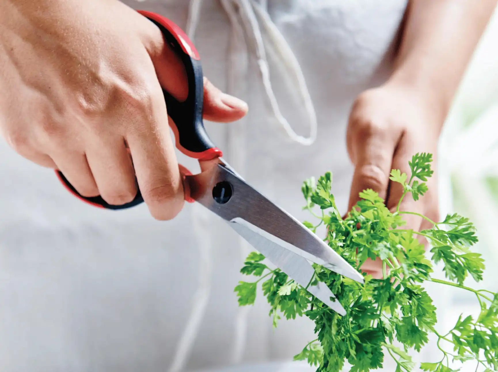 Ergonomic Schere der Marke Tupperware / Schere für Links und Rechtshänder / Auseinander Nehmbar zum Spühlen / Hier direkt Online kaufen