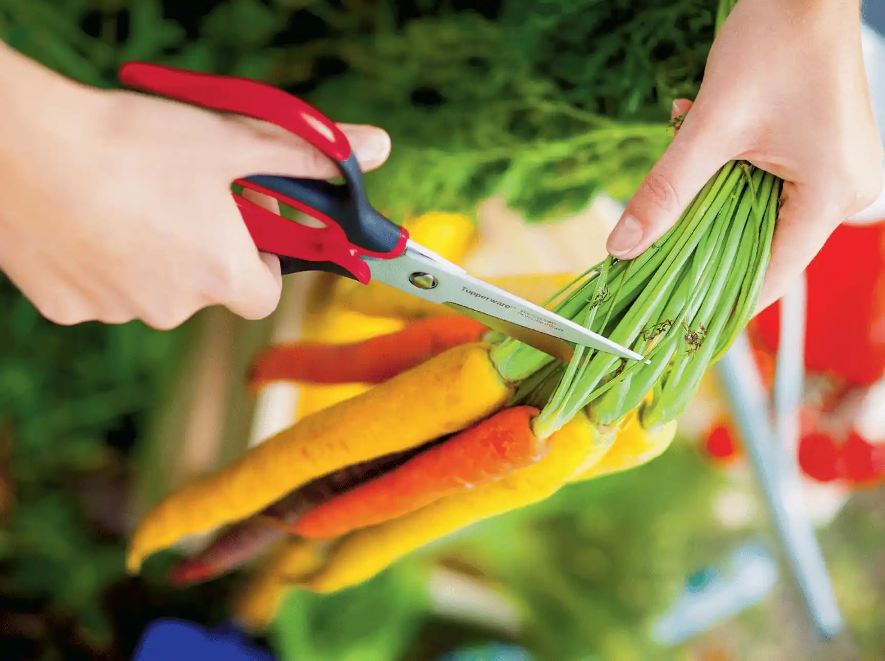 Ergonomic Schere der Marke Tupperware / Schere für Links und Rechtshänder / Auseinander Nehmbar zum Spühlen / Hier direkt Online kaufen