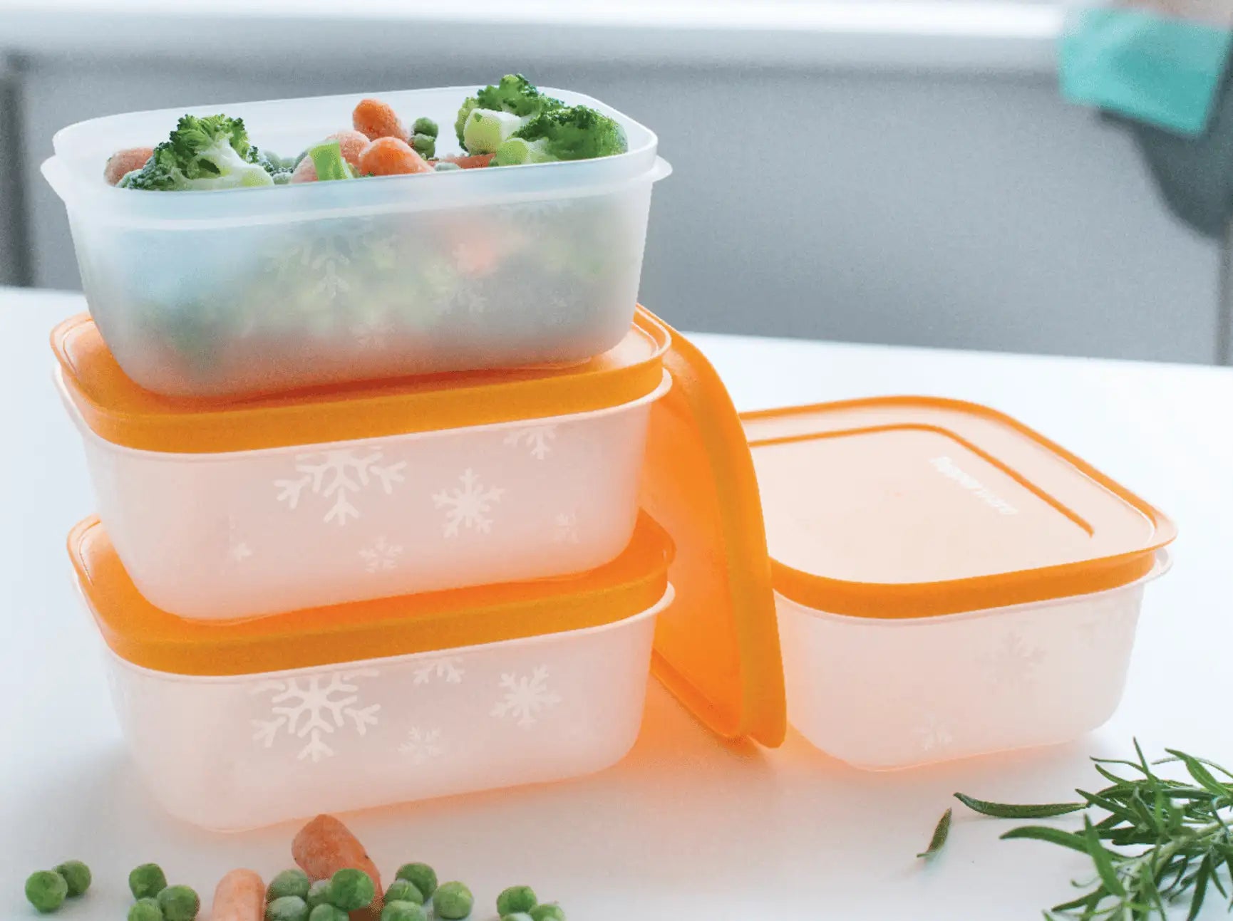 Eiskristall Gefrierbehälter Set 450ml von der Marke Tupperware / 4 Behälter mit jeweils 450ml / Ideal zum Einfrieren von kleinen Portionen / Hier direkt online kaufen