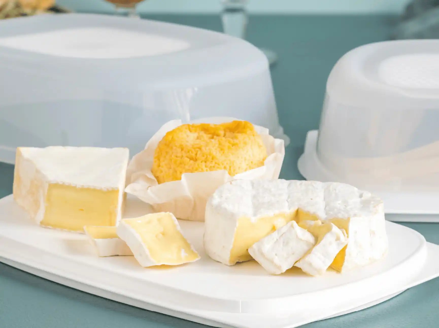 KäseMax mit CondensControl von der Marke Tupperware / Käse wird Optimal im Kühlschrank gelagert / Spülmaschinen geeignet / mit Integrierter Servierplatte / Hier direkt online kaufen