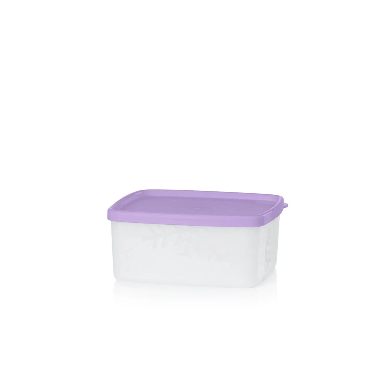 G01 Kleine rechteckige Gefrier-Behälter Tupperware