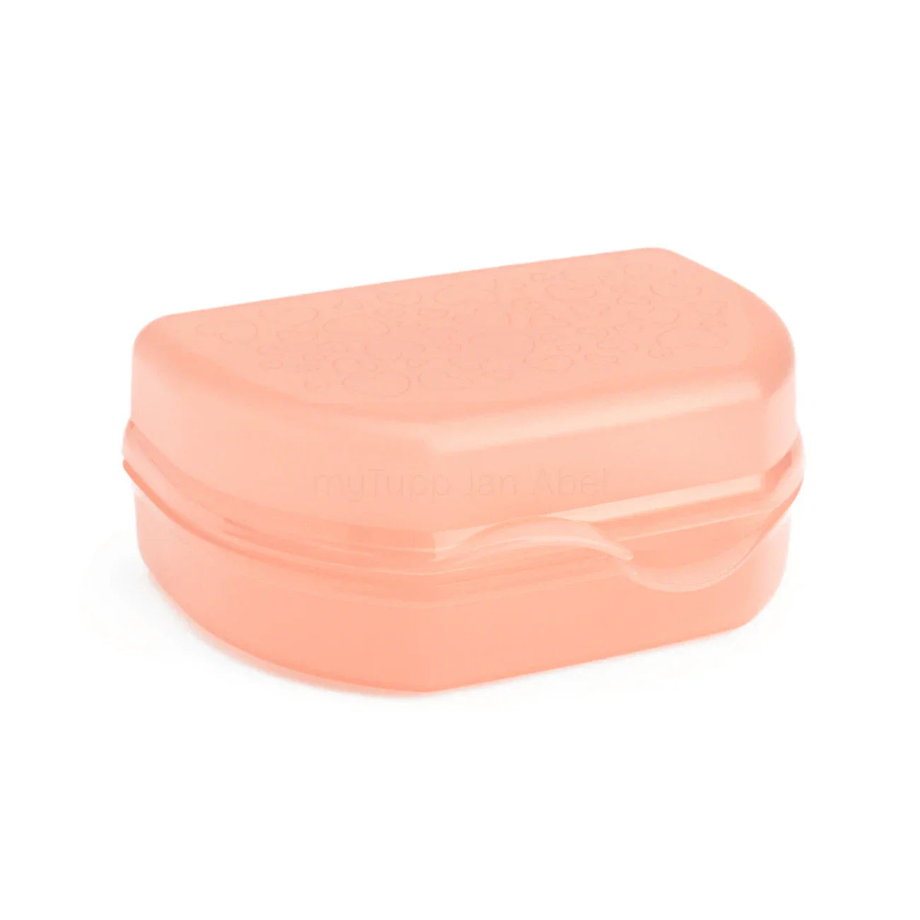 C55 Snacky Tupperware