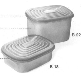 B18 Bungee 850 ml rechteckig  & B22 Bungee 1,9 L rechteckig Tupperware
