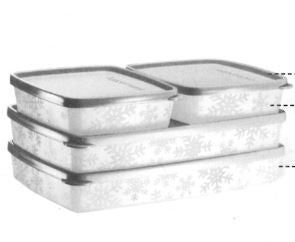 G21 Gefrier-Set flach Tupperware