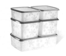 Die klassischen Tupperware Gefrier-Behälter