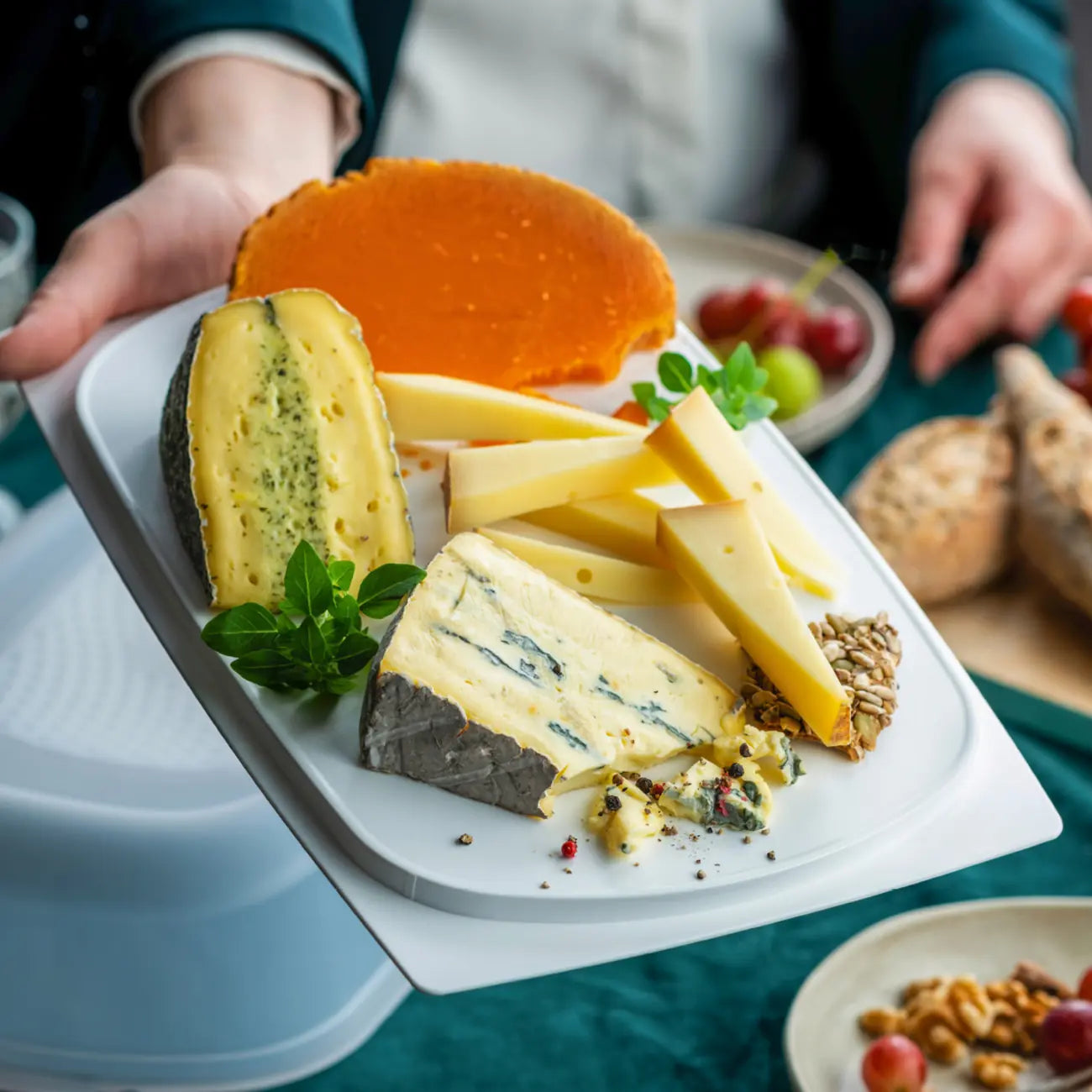 Käse Frischhalten – Behälter für längere Frische im Kühlschrank