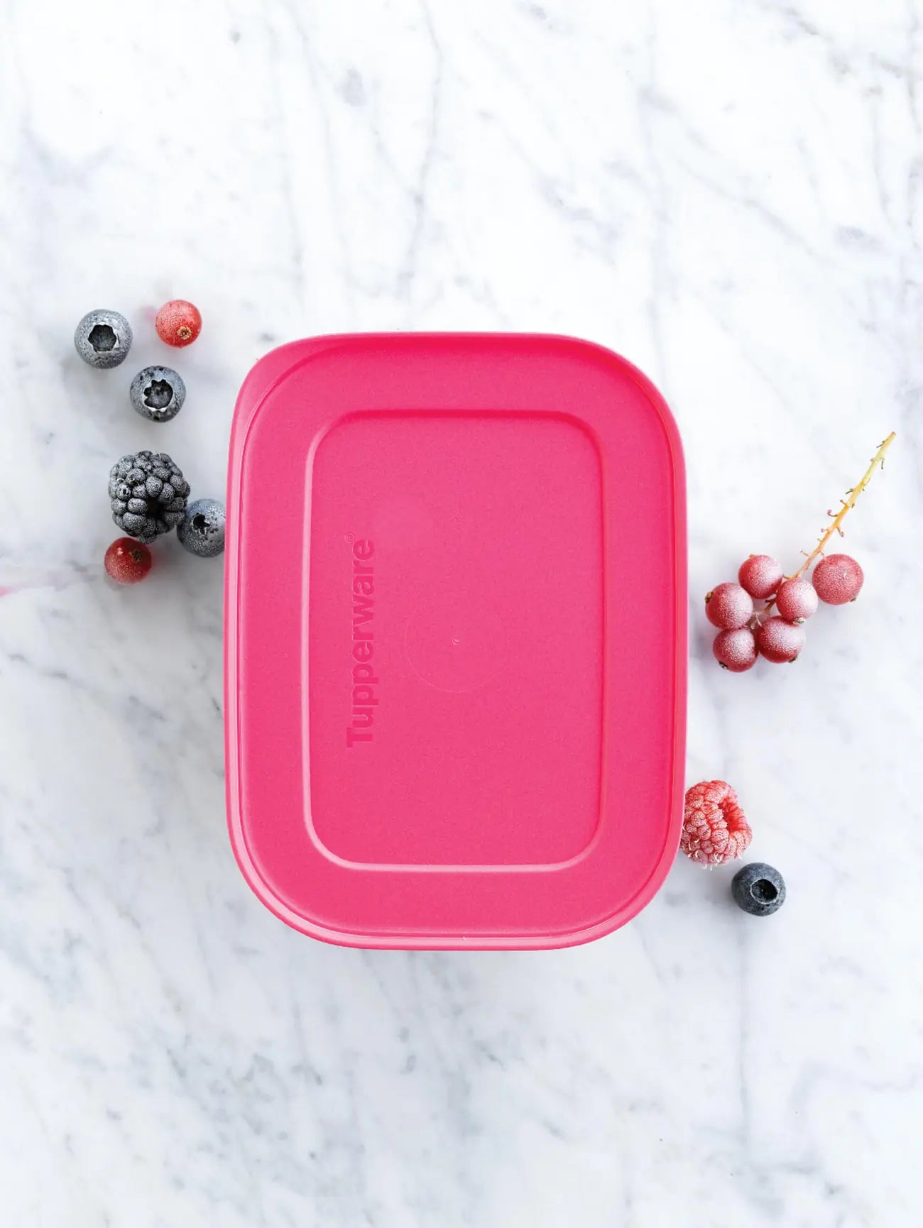 Eis Kristall Gefrierbehälter 2x 1,1L Hoch von der Marke Tupperware / Gefrierbehälter / Gefrierbeutel / Perfekt fürs Schnelle Einfrieren / Hier direkt online kaufen