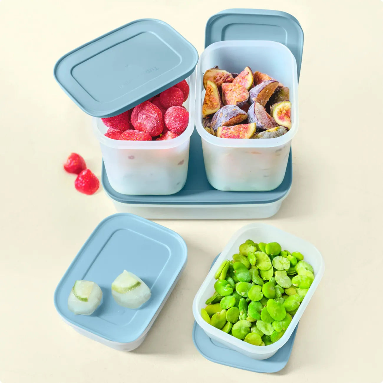 Eis Kristall Set von der Marke Tupperware / 5 Eiskristall Behälter / Ideal zum Einfrieren / 1x 1L, 2x 1,1L, 2x 450ml Behälter / Hier direkt online kaufen