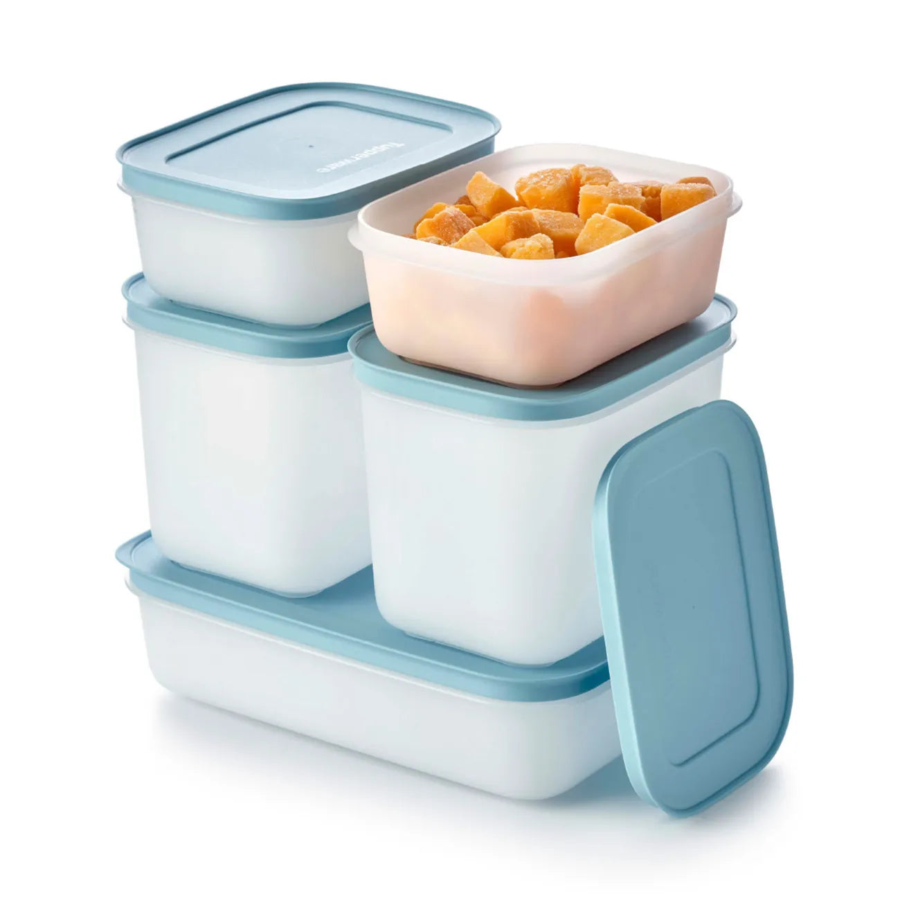 Eis Kristall Set von der Marke Tupperware / 5 Eiskristall Behälter / Ideal zum Einfrieren / 1x 1L, 2x 1,1L, 2x 450ml Behälter / Hier direkt online kaufen