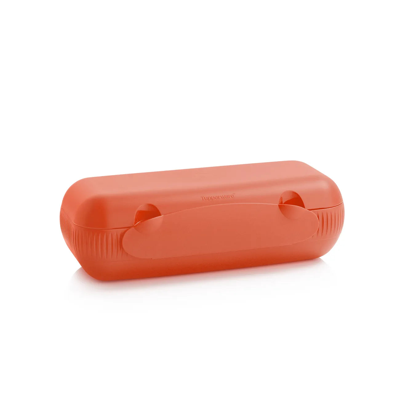 10er Eierbox Kolumbus von der Marke Tupperware / Eierbox für den Kühlschrank / Stylisch aufbewahren / Aufbewahrungsbox / Hier direkt online kaufen 