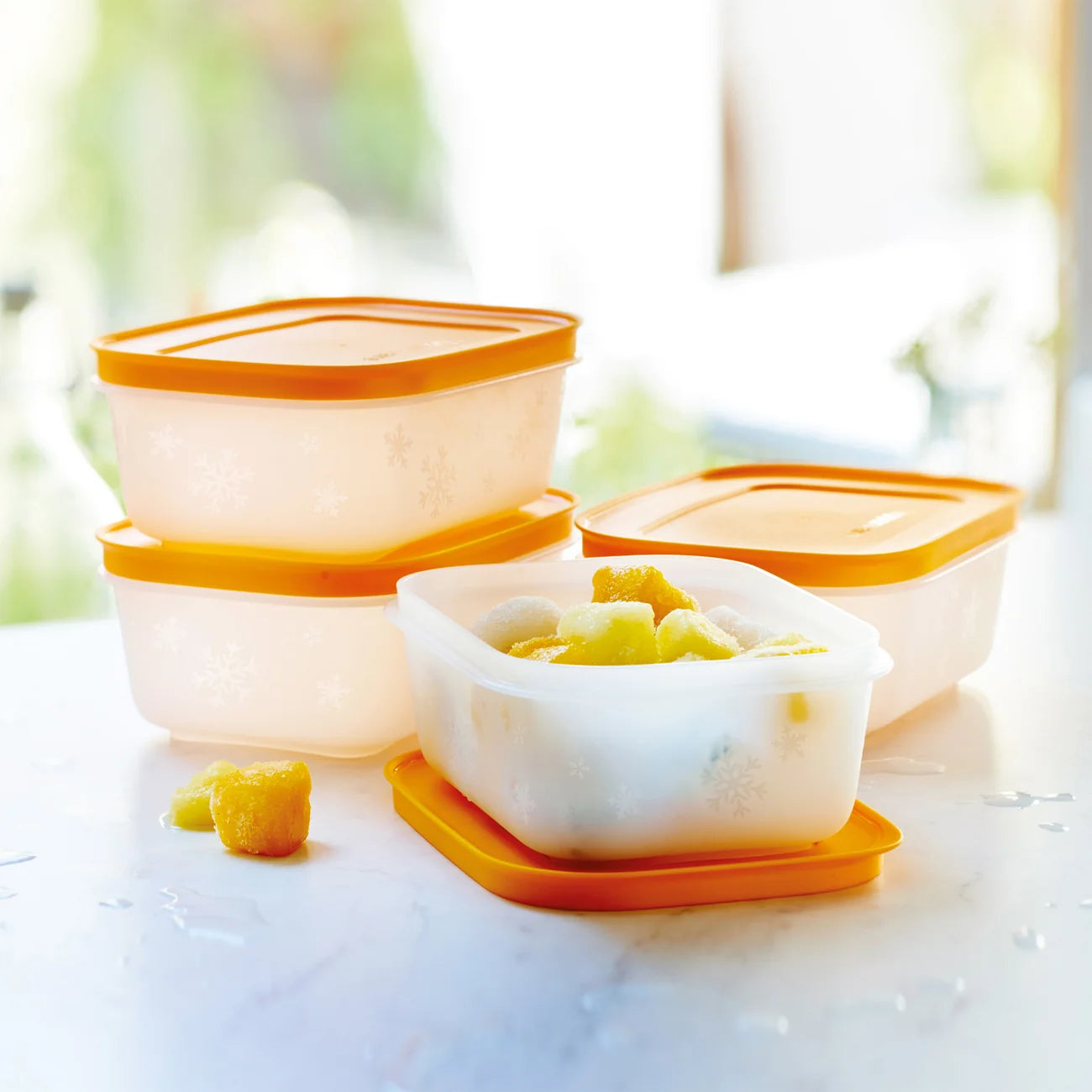 Eiskristall Set 450ml von der Marke Tupperware / Gefrierbehälter / 4 mal 450ml Behälter / Hier direkt online kaufen