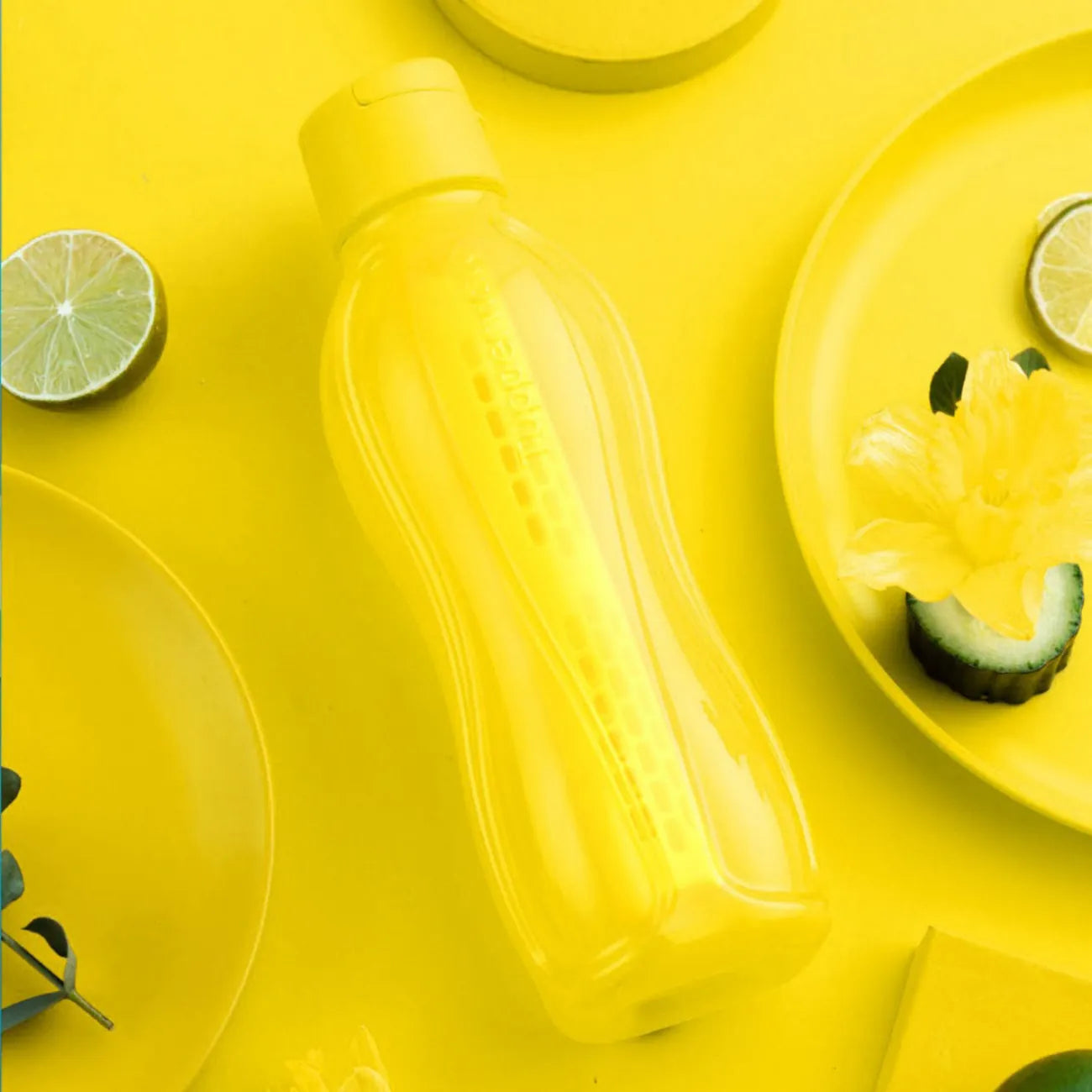 EcoEasy 750ml Aroma Set von der Marke Tupperware / für Aromatisiertes Wasser / um Wasser auch Unterwegs mit  Früchten, Blättern oder anderen Geschmacksträgern zu aromatisieren / Hier direkt online kaufen