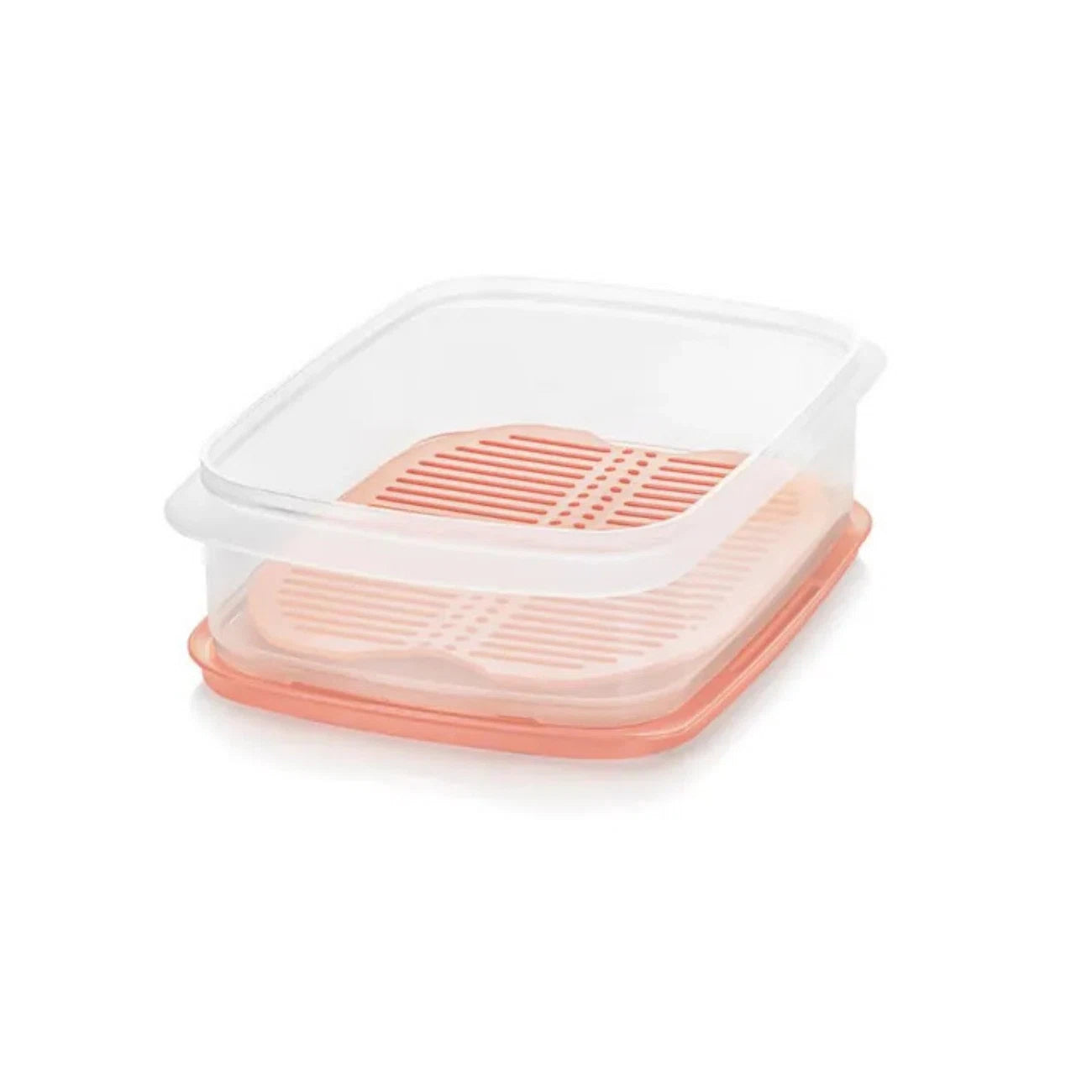 Cool`N Fresh 1,5 L Behälter von der Marke Tupperware / Set besteht aus einem 1,5 L Behälter, einem Verschluss und einem Frischegitter / Lebensmittelbehälter / Frischhaltebehälter / Kühlschrankbehälter / Hier direkt online kaufen