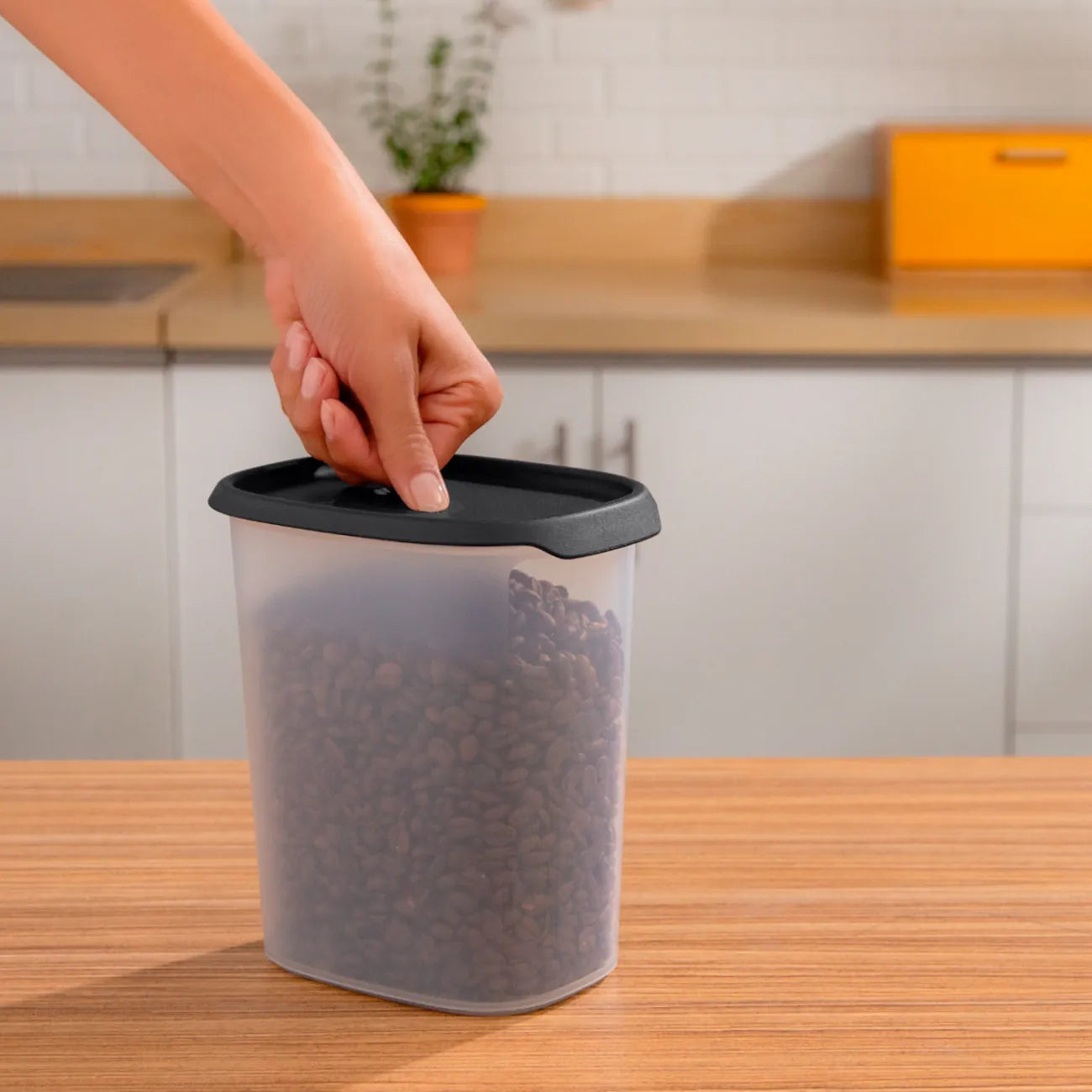 One Touch Fresh oval 1,8L schwarz