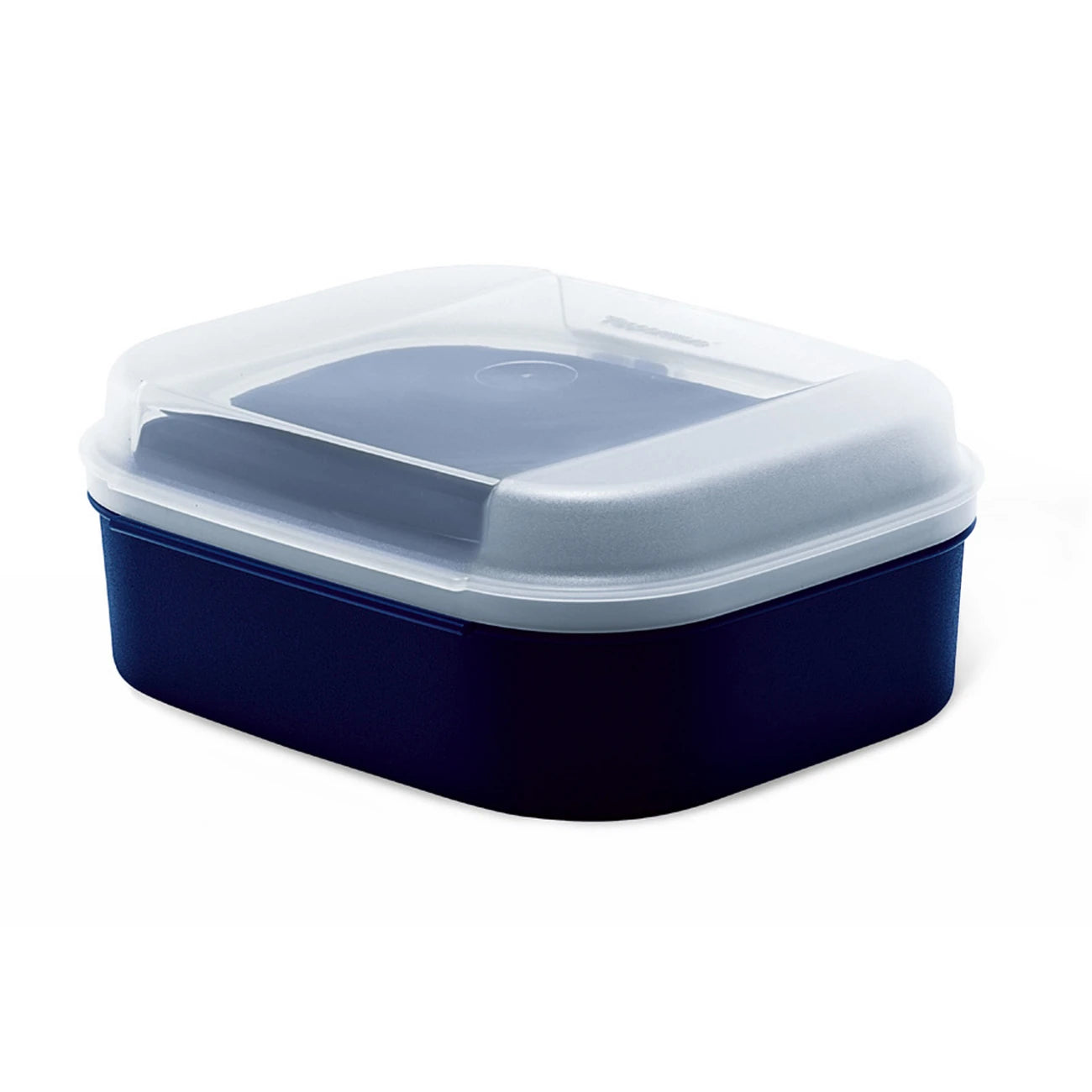 12249-1982-Tupperware-Ersatzteil-Deckel-Naschk_25C3_25A4tzchen-Haubendeckel-A002-A001