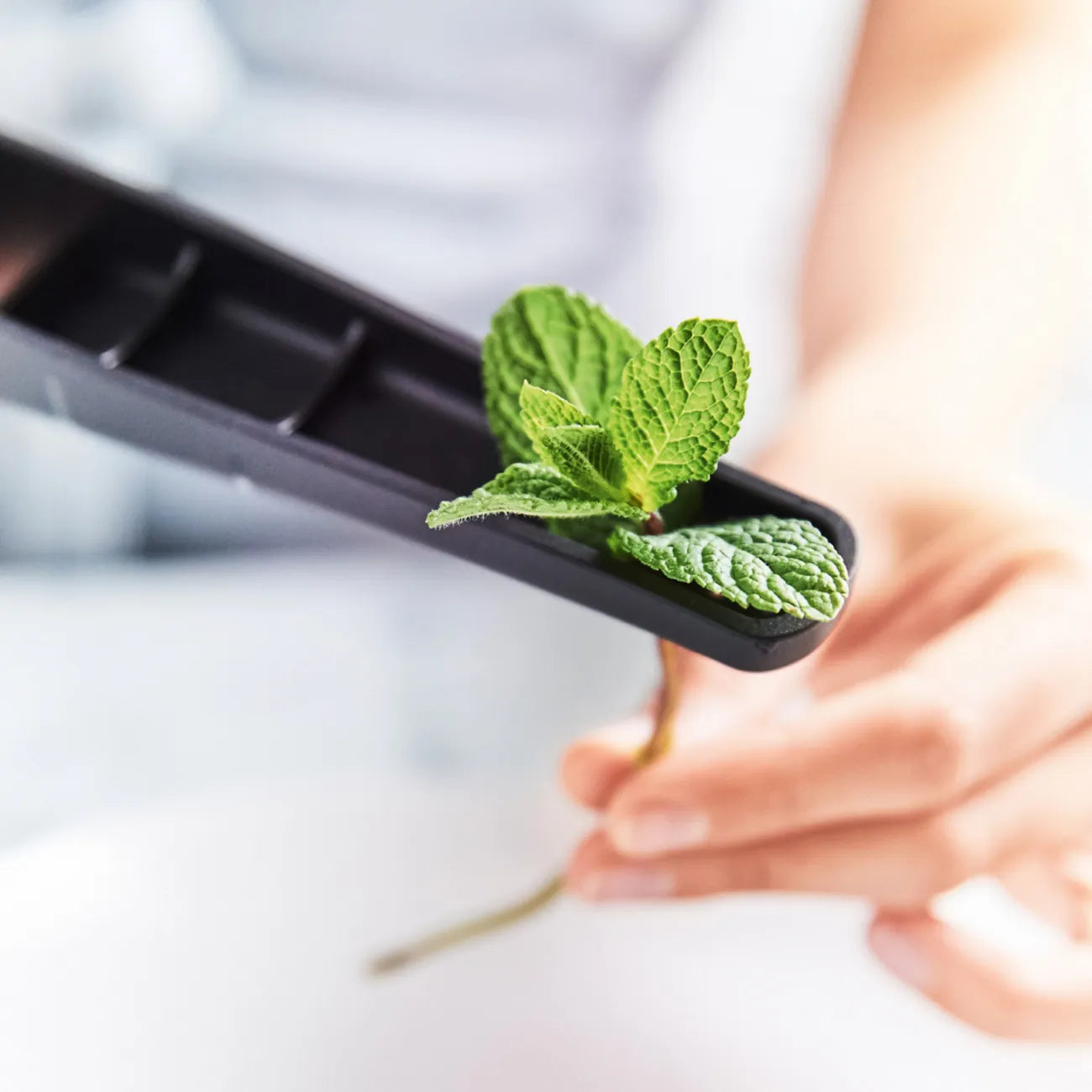 Knoblauchpresse Knobi-Star von der Marke Tupperware / Drei in Eins Küchenwerkzeug / zum Schälen und Pressen von Knoblauch / mit Kräuterentblätterungsfunktion / mit Ergonomischen Griff / Einfach zu Reinigen / Hier direkt online kaufen 