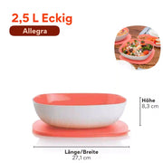 Allegra 2,5l Schüssel in eckig von der Marke Tupperware / in der Farbe Lachs Coral -Weiß / Servierschüssel mit Deckel / Perfekt für jede Grillparty, Familienfeier oder auch Picknick / Hier direkt online kaufen 