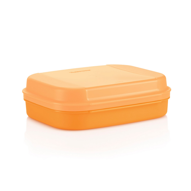 Kleines Naschkätzchen 1,1 l von der Marke Tupperware / in der Farbe Orange / Aufklappbarer Deckel / Rechteckige Form / einfache Reinigung / abnehmbarer Deckel / Aufbewahrungsbox / Hier direkt online kaufen