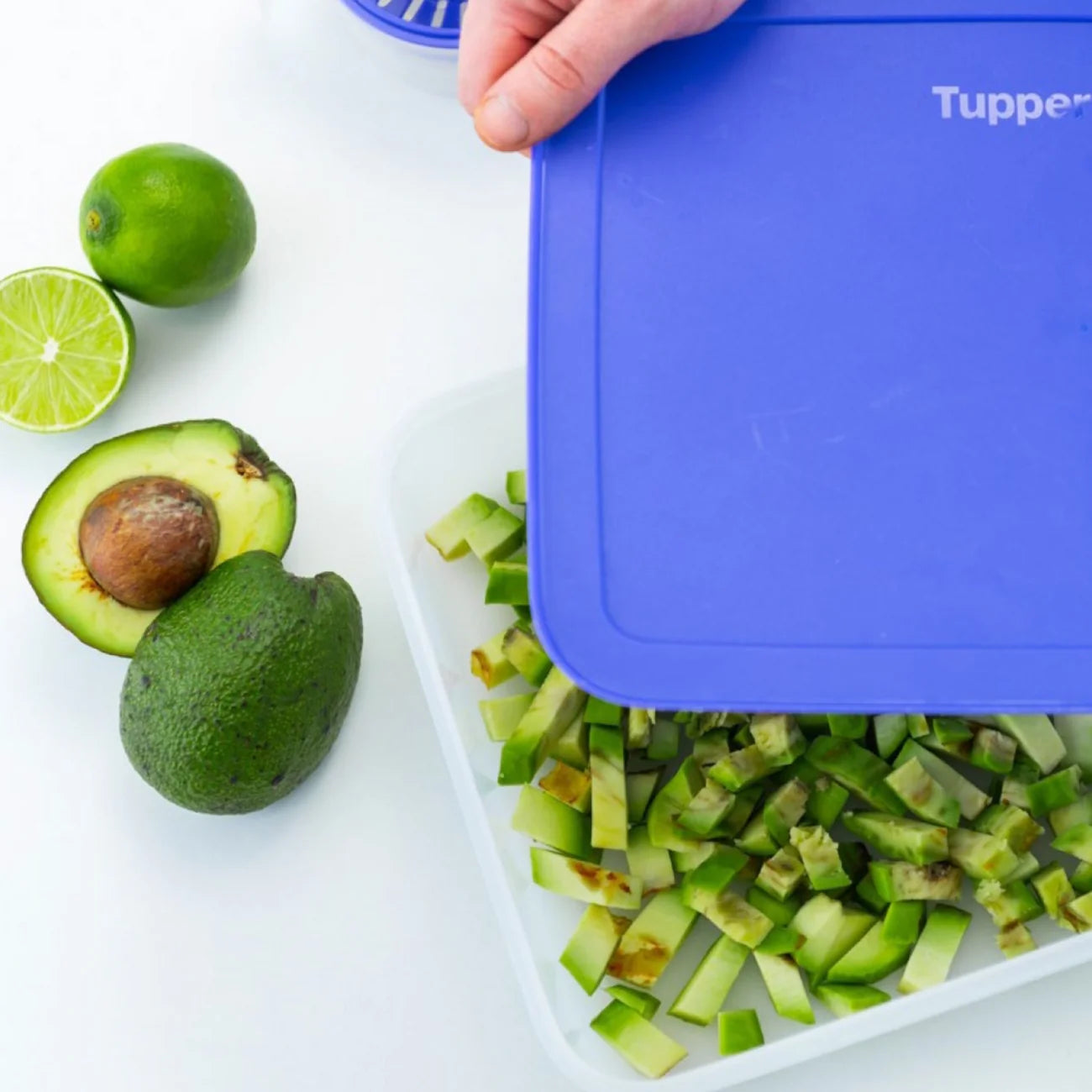 Eis-Kristall Gefrierbehälter 2,25l von der Marke Tupperware / in der Farbe dunkelblau / modular Stapelbar / Luft & Wasserdicht schließend / abgerundete Form für schnelles & gleichmäßiges Einfrieren / Hier direkt online kaufen