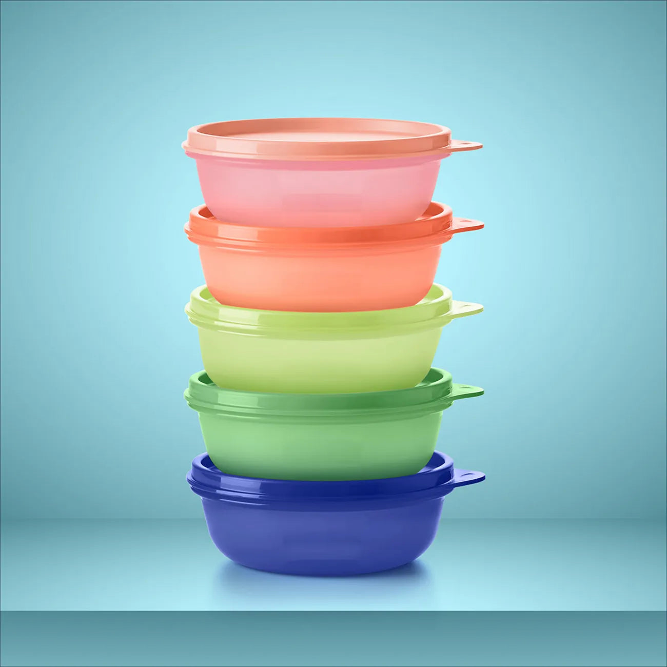 Frische Behälter 300 ml (5) Kleine Hitparade regenbogen