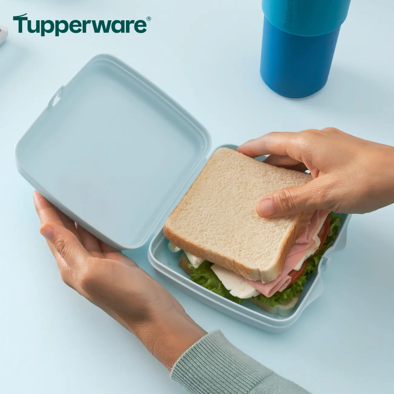 Eco+ Sandwichbox von der Marke Tupperware / in der Farbe Hellblau / Ideale große fürs Pausenbrot / Für Unterwegs / Lunchbehälter / Brotdose / Hier direkt online kaufen