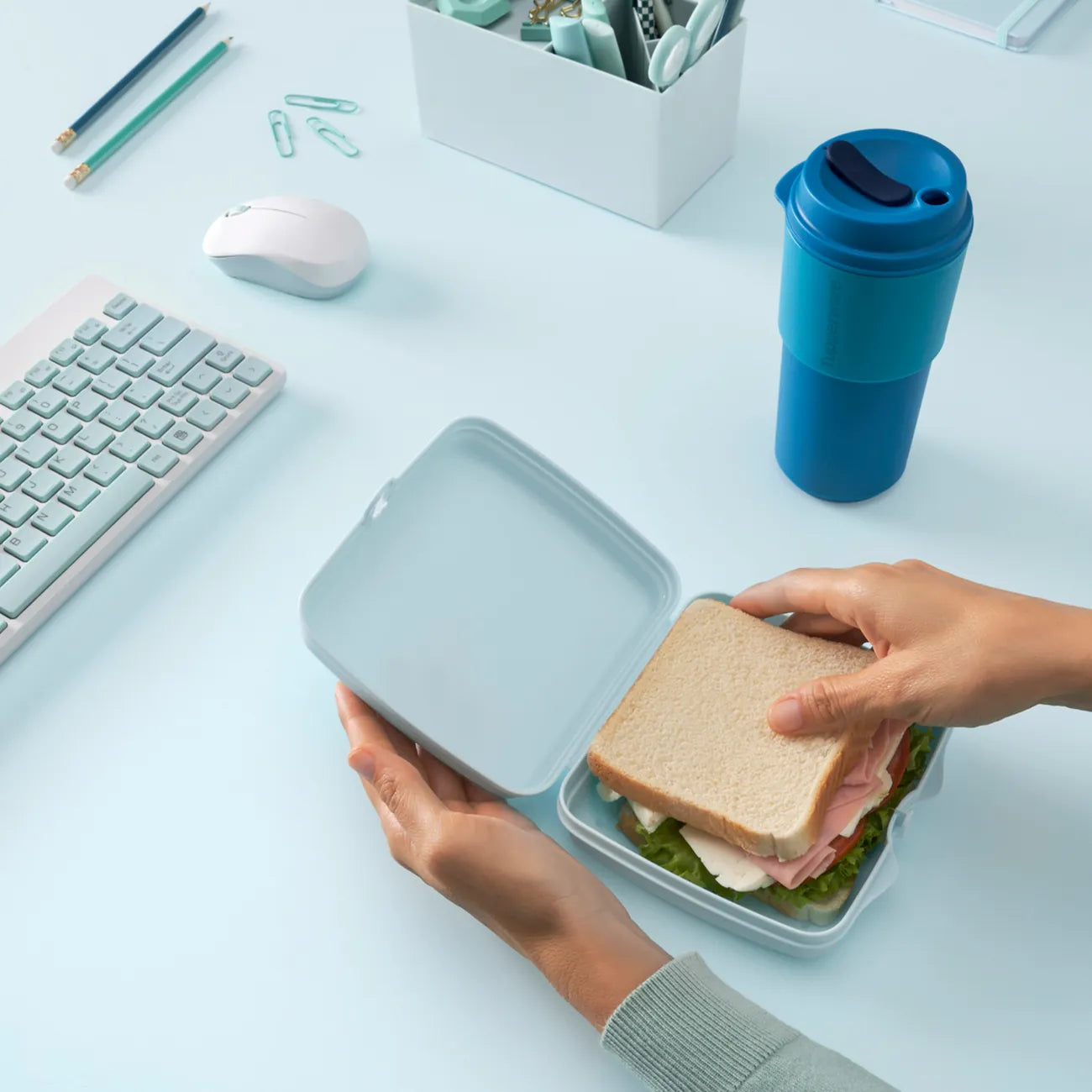 Eco+ Sandwichbox von der Marke Tupperware / in der Farbe Hellblau / Ideale große fürs Pausenbrot / Für Unterwegs / Lunchbehälter / Brotdose / Hier direkt online kaufen