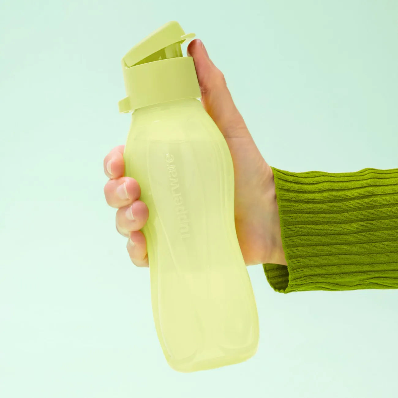 EcoEasy 310 ml - Die kleine für zwischendurch | Tupperware – myTupp