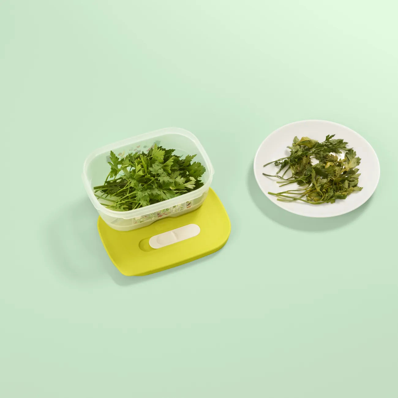 KlimaOase 800ml FridgeSmart von der Marke Tupperware / Lebensmittelbehälter / Gemüse & Obst Aufbewahrung / Kühlschrankbox / Modular Stapelbar / Hier direkt online kaufen