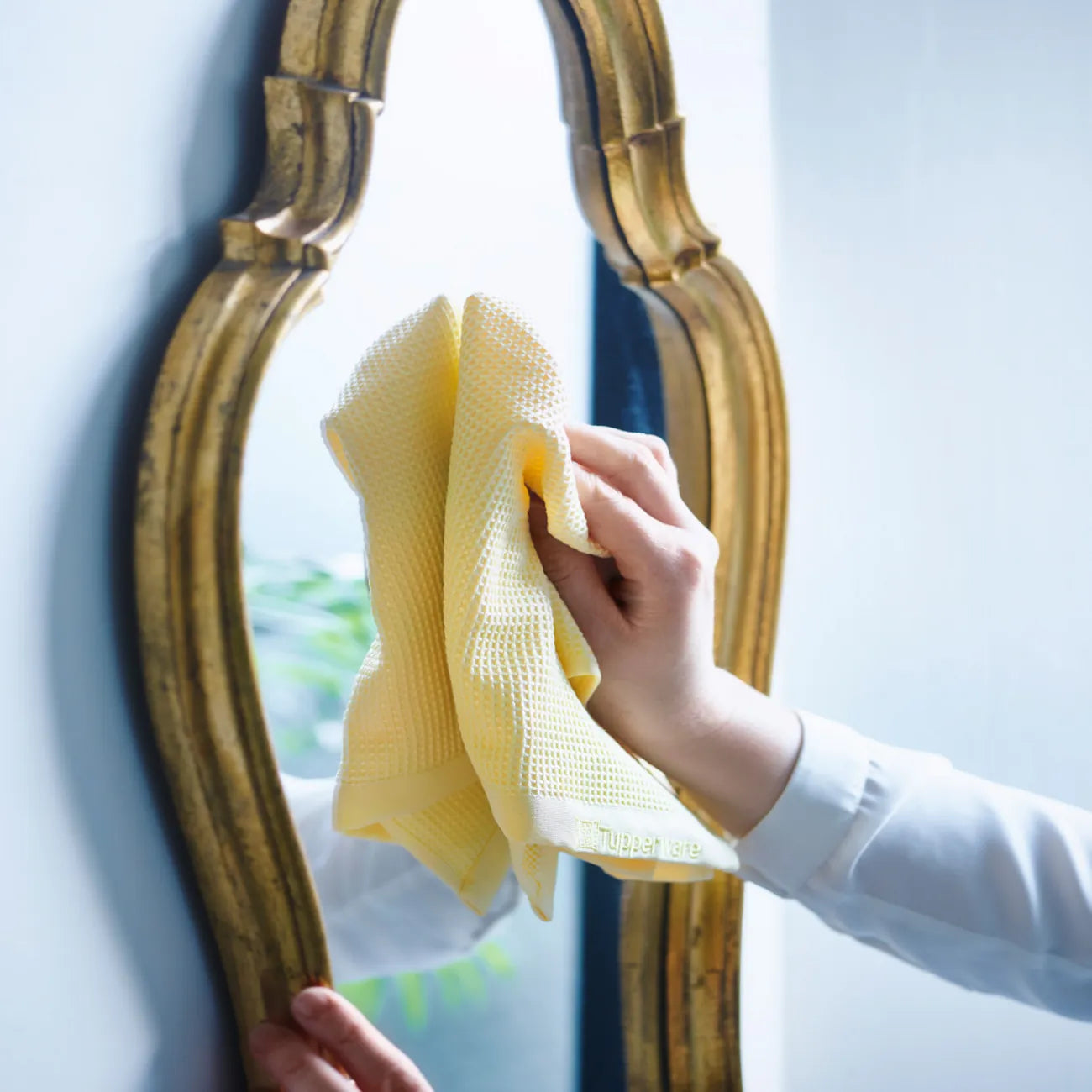 FaserPro Führjahrsputz-Set (3)