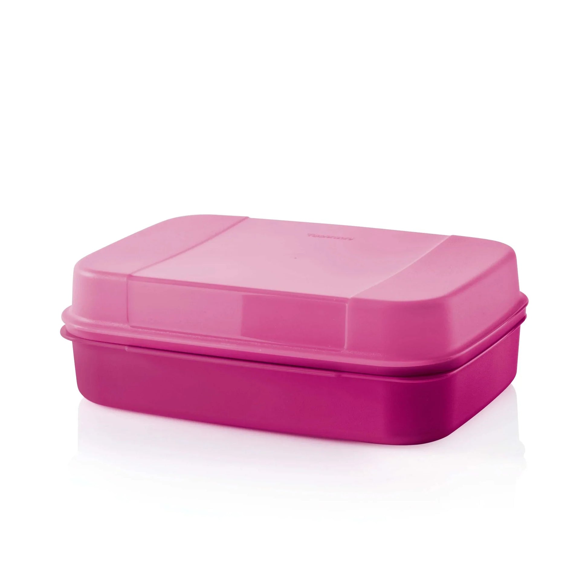 Großes Naschkätzchen 2l von der Marke Tupperware / in der Farbe Lila / Aufklappbarer Deckel / Rechteckige Form / einfache Reinigung / abnehmbarer Deckel / Perfekt für Picknicks / Aufbewahrungsbox / Abgerundete Ecken / Hier direkt online kaufen