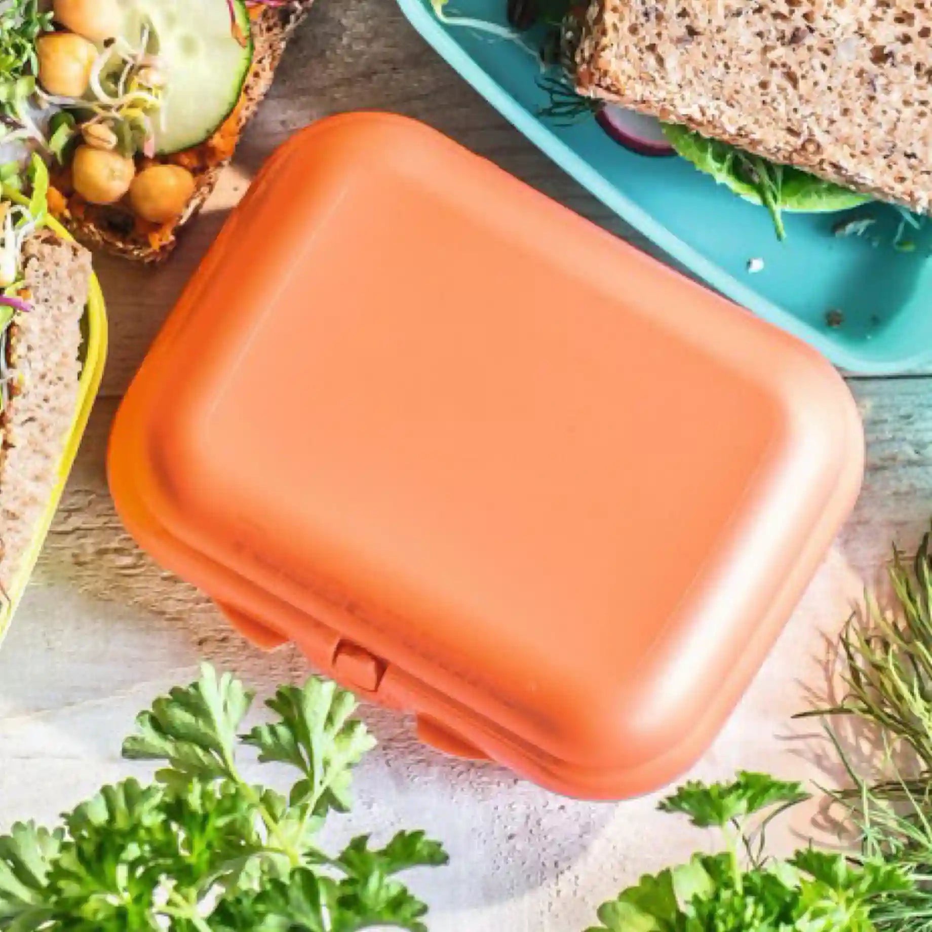Eco+ Kleiner Oyster Twin in der Farbe Lachs von der Marke Tupperware / Perfekt für Wanderungen, Fahrradtouren oder auch das Pausenbrot / Auslaufsicher & Langlebig / aus Recyceltem Material / Hier direkt online kaufen 