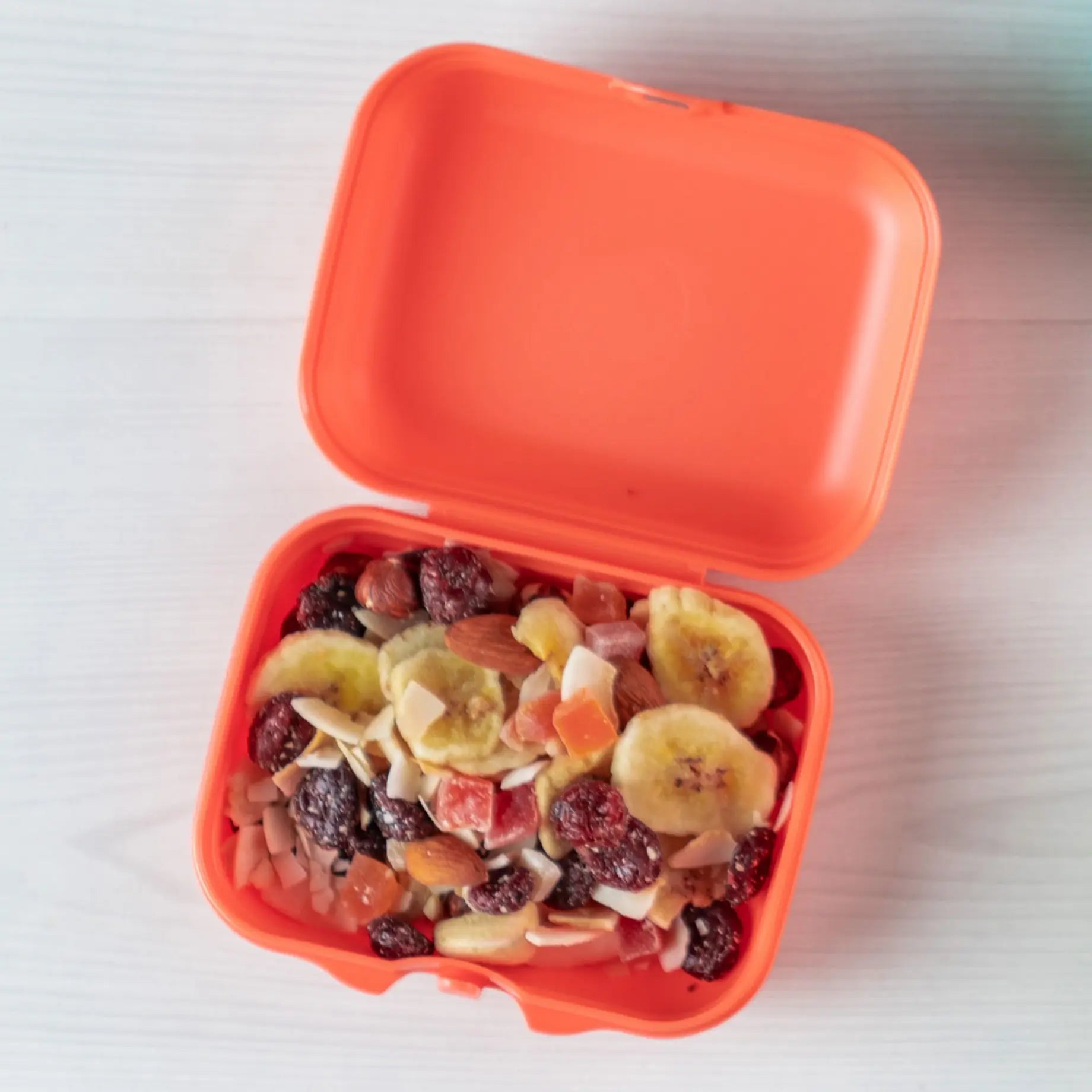 Eco+ Kleiner Oyster Twin in der Farbe Lachs von der Marke Tupperware / Perfekt für Wanderungen, Fahrradtouren oder auch das Pausenbrot / Auslaufsicher & Langlebig / aus Recyceltem Material / Hier direkt online kaufen 