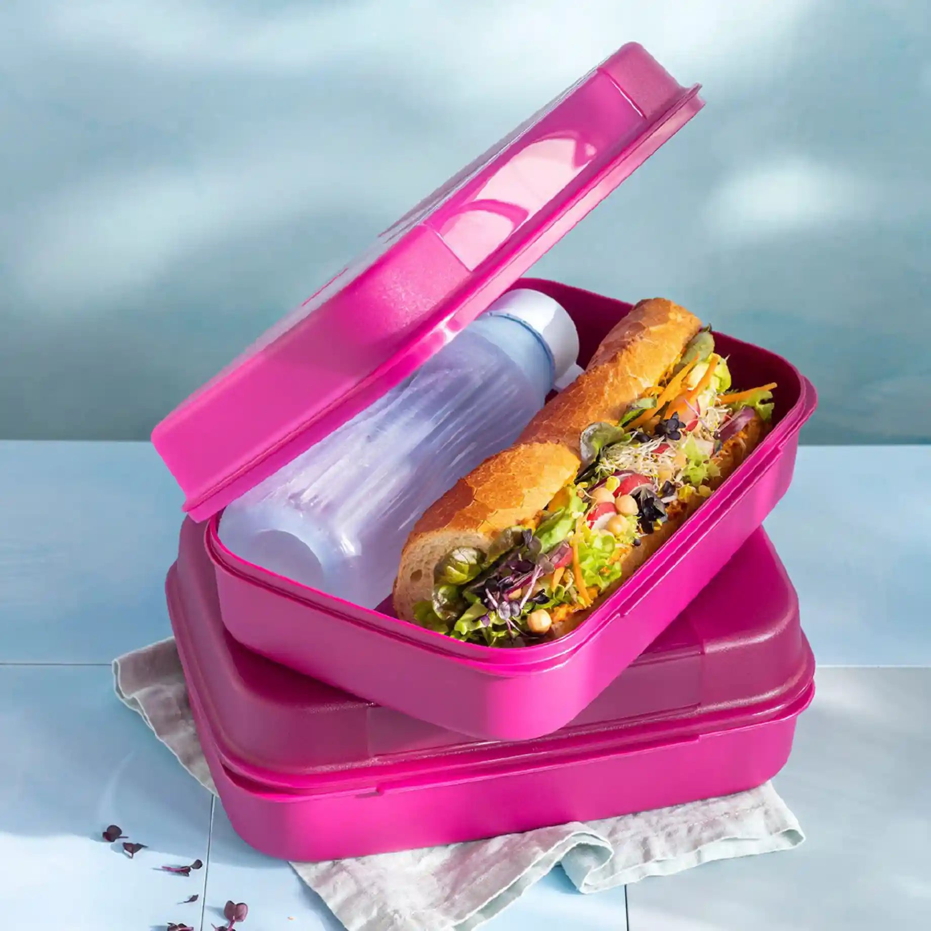 Großes Naschkätzchen 2l von der Marke Tupperware / in der Farbe Lila / Aufklappbarer Deckel / Rechteckige Form / einfache Reinigung / abnehmbarer Deckel / Perfekt für Picknicks / Aufbewahrungsbox / Abgerundete Ecken / Hier direkt online kaufen