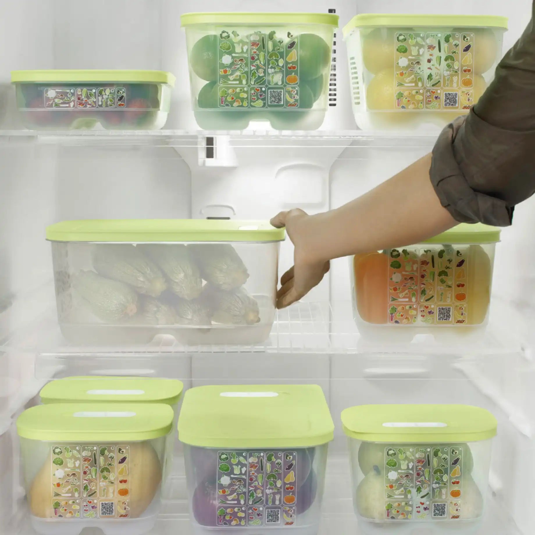 KlimaOase Vertikal von der Marke Tupperware / Perfekt für längliches Gemüse und Kräuter / Behälter mit Schiebe Regler für die Luft zufuhr / Mit integriertem Frischegitter / Vorratsbehälter / Beispielbild KlimaOase mit Gemüse gefüllt / Hier direkt online kaufen