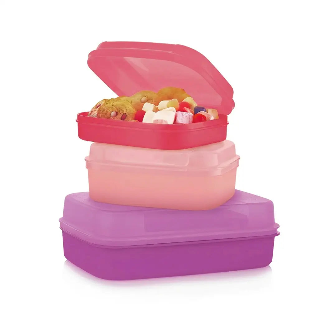 Kleines Naschkätzchen 1,1 l von der Marke Tupperware / in der Farbe Flamingo / Aufklappbarer Deckel / Rechteckige Form / einfache Reinigung / abnehmbarer Deckel / Aufbewahrungsbox / Hier direkt online kaufen