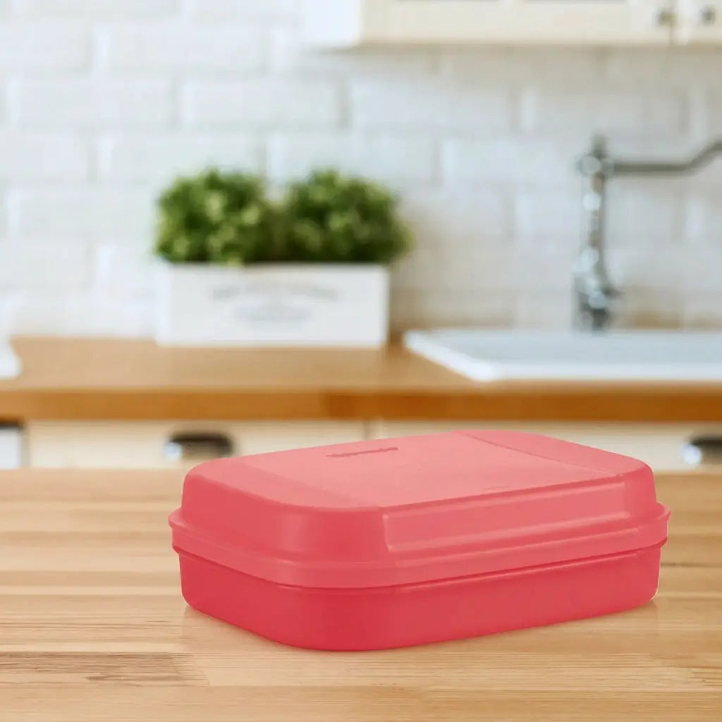 Kleines Naschkätzchen 1,1 l von der Marke Tupperware / in der Farbe Flamingo / Aufklappbarer Deckel / Rechteckige Form / einfache Reinigung / abnehmbarer Deckel / Aufbewahrungsbox / Hier direkt online kaufen