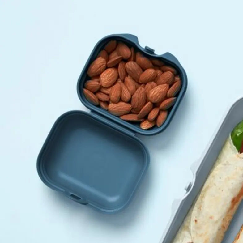Oyster Mini Box von der Marke Tupperware / in der Farbe Grau Blau / Perfekt für Unterwegs / Ideal zum Transportieren von Kleinigkeiten / Umweltfreundlich / Handlich dank Abgerundeter Form / Hier direkt online kaufen 